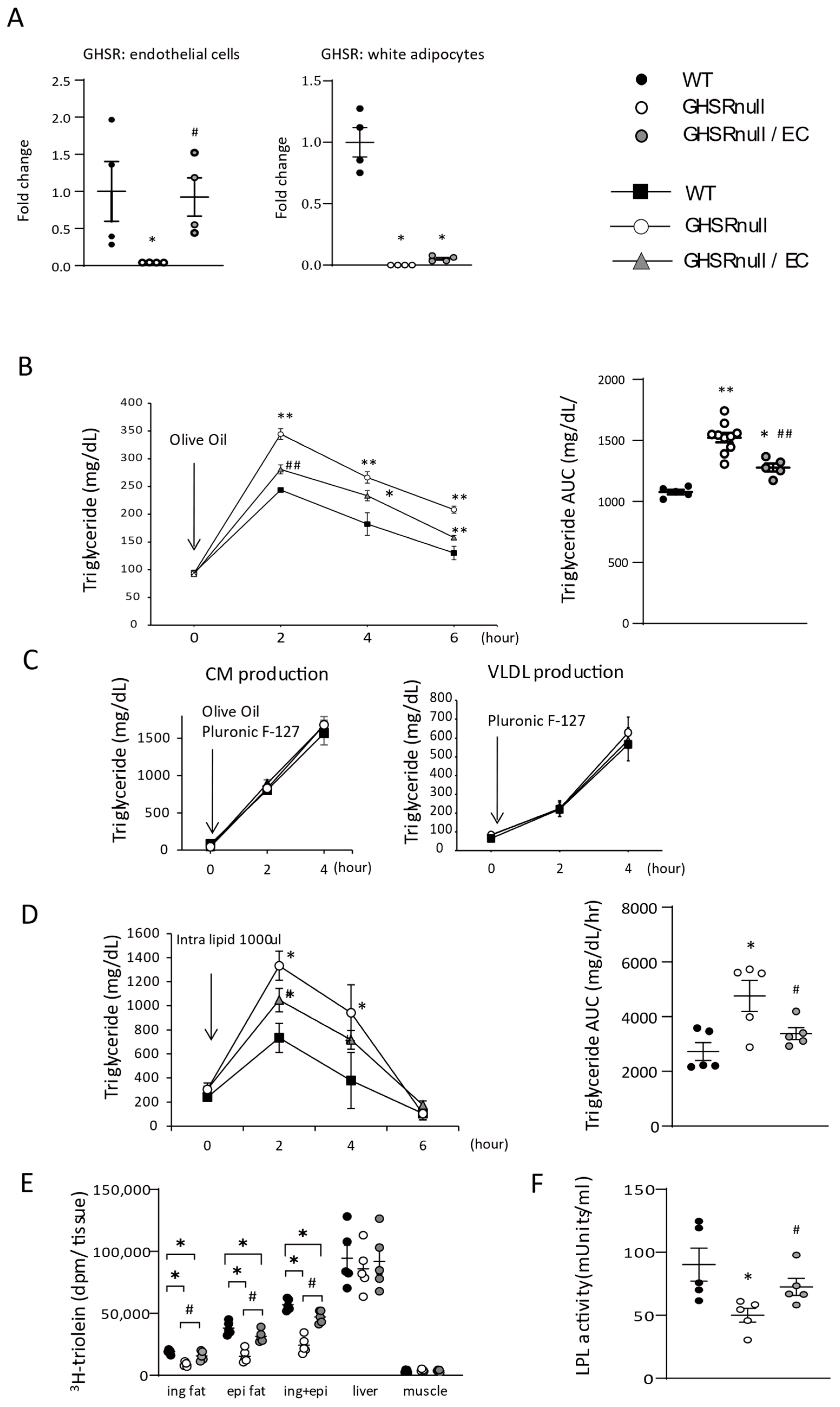 Nutrients 17 00146 g003