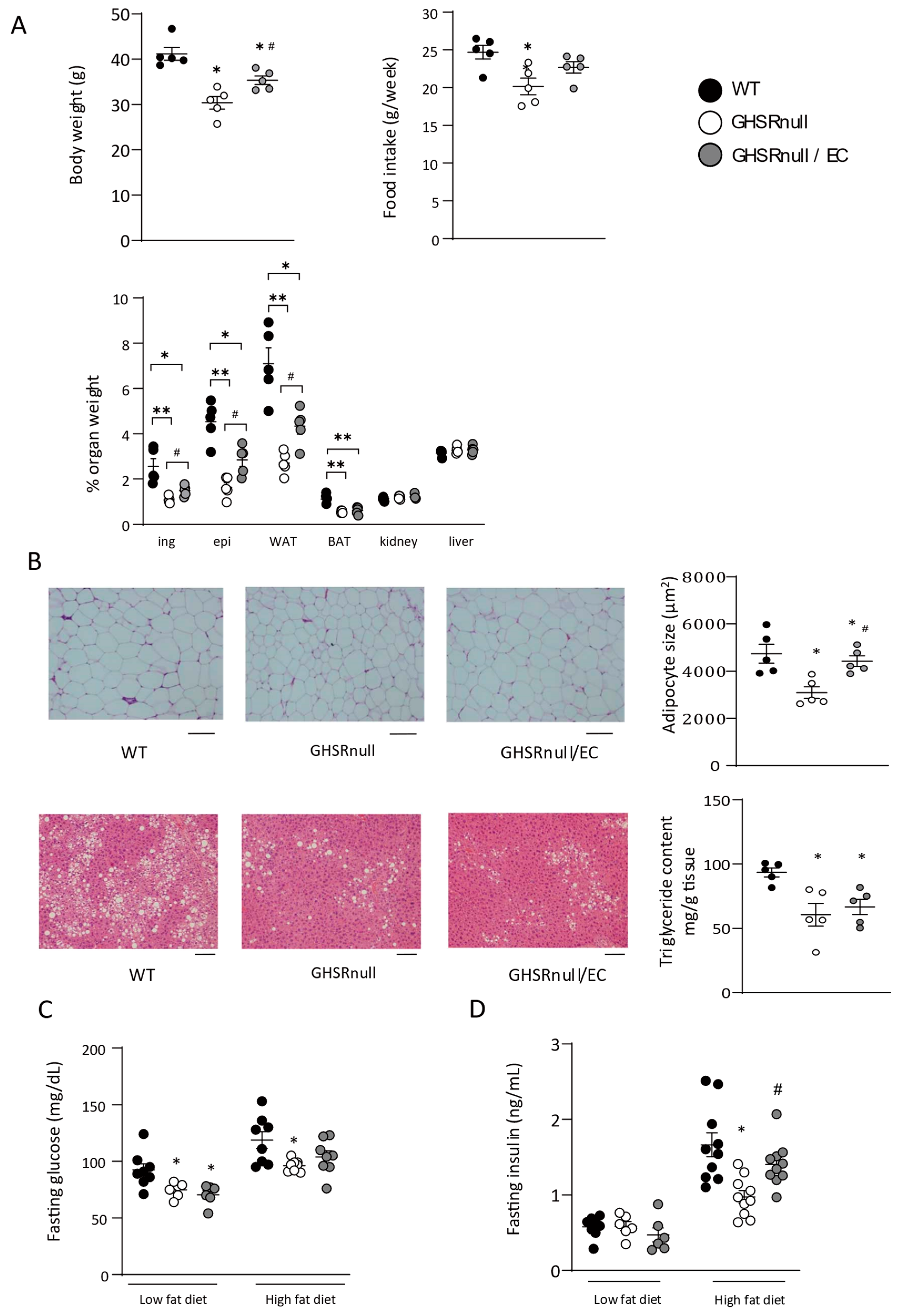 Nutrients 17 00146 g004a