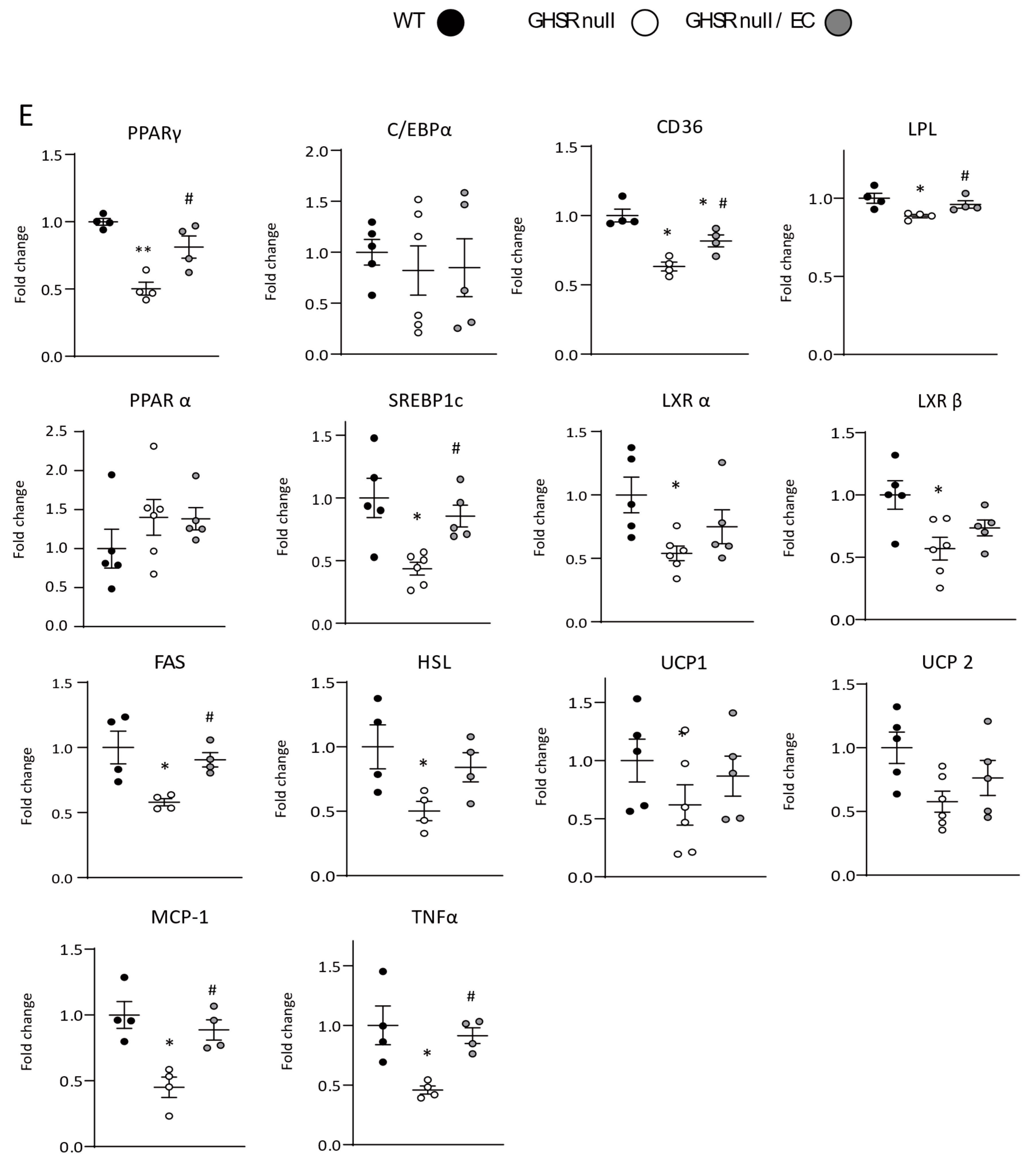 Nutrients 17 00146 g004b