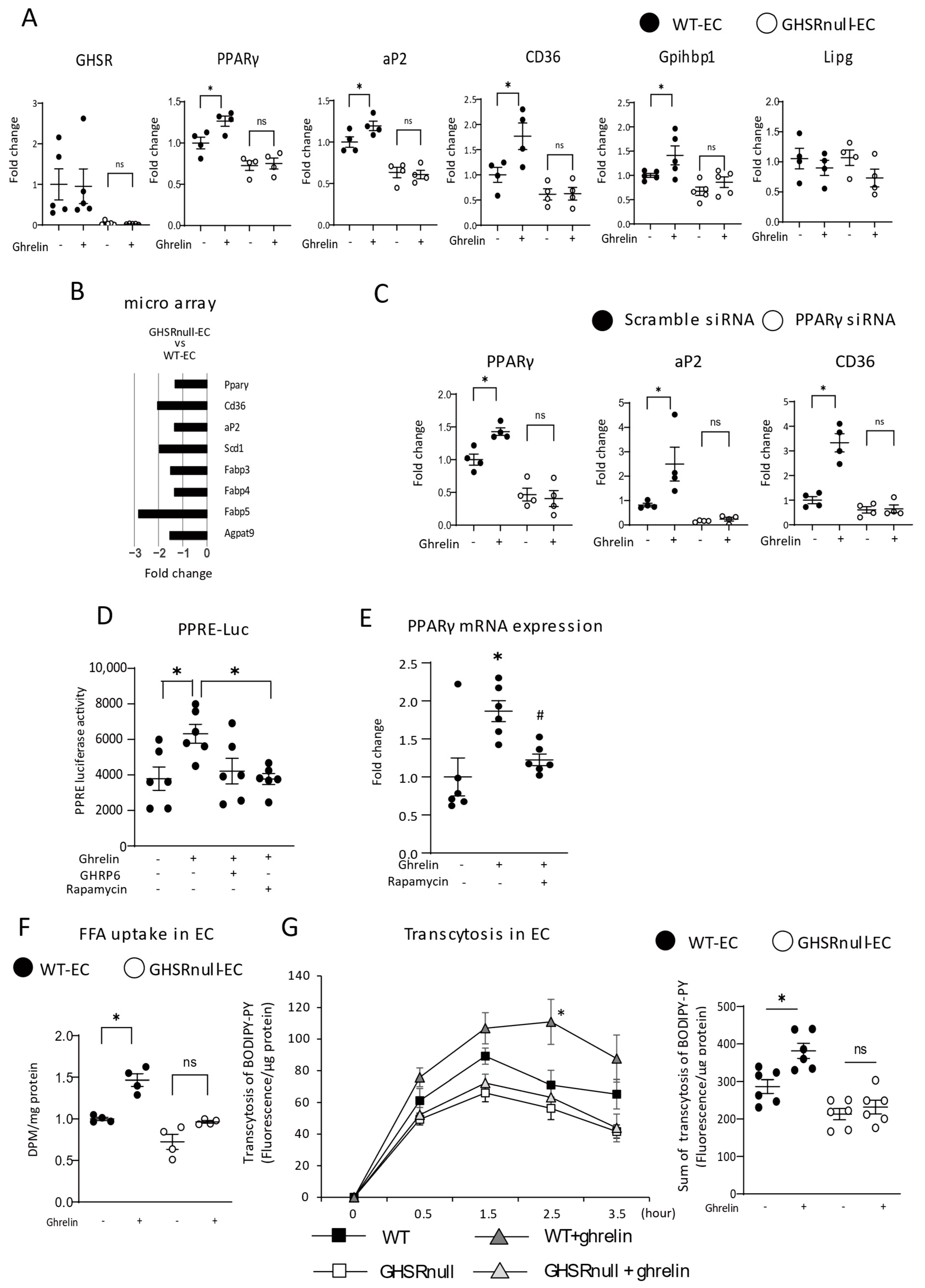Nutrients 17 00146 g005
