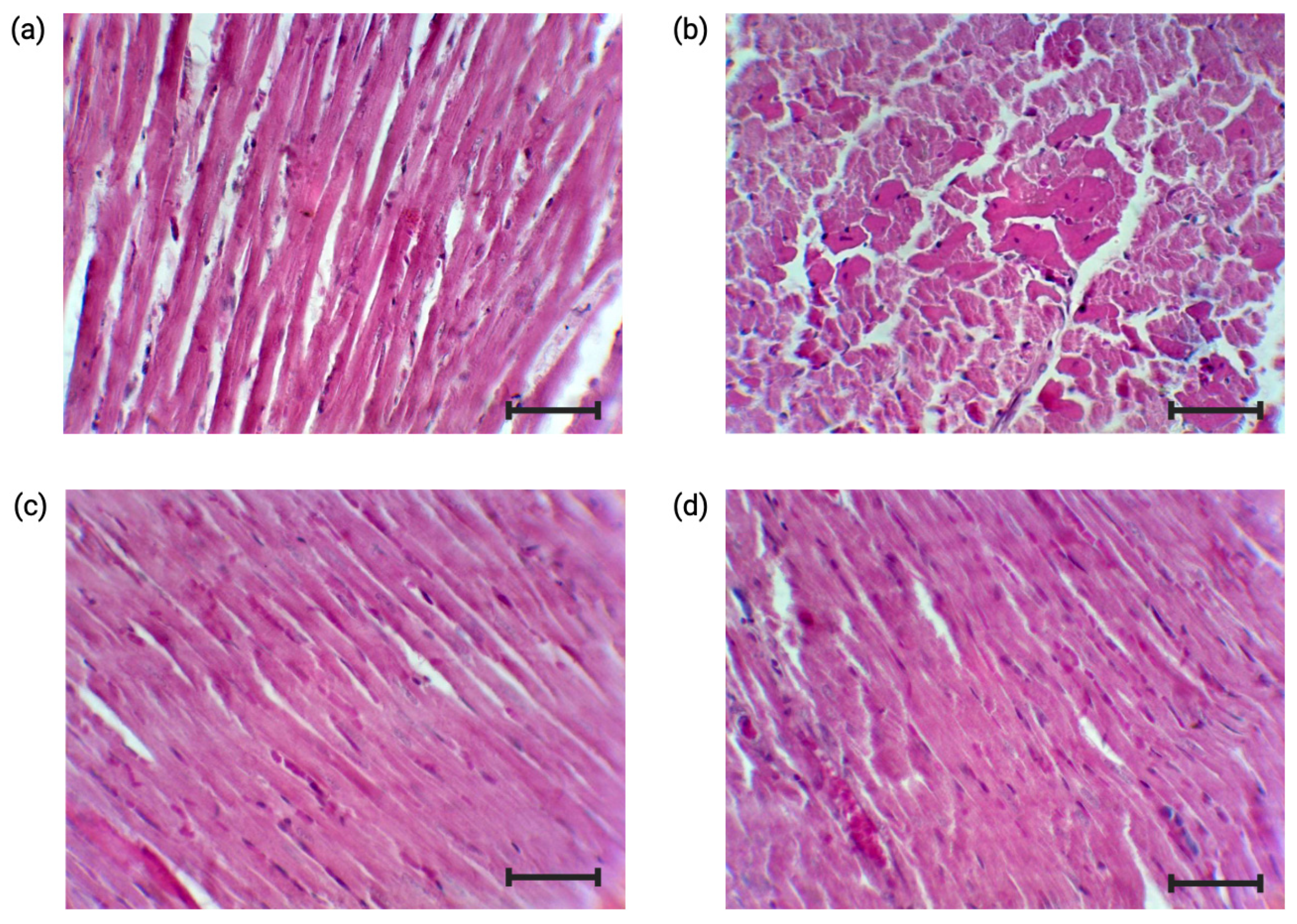 Nutrients 17 00158 g009