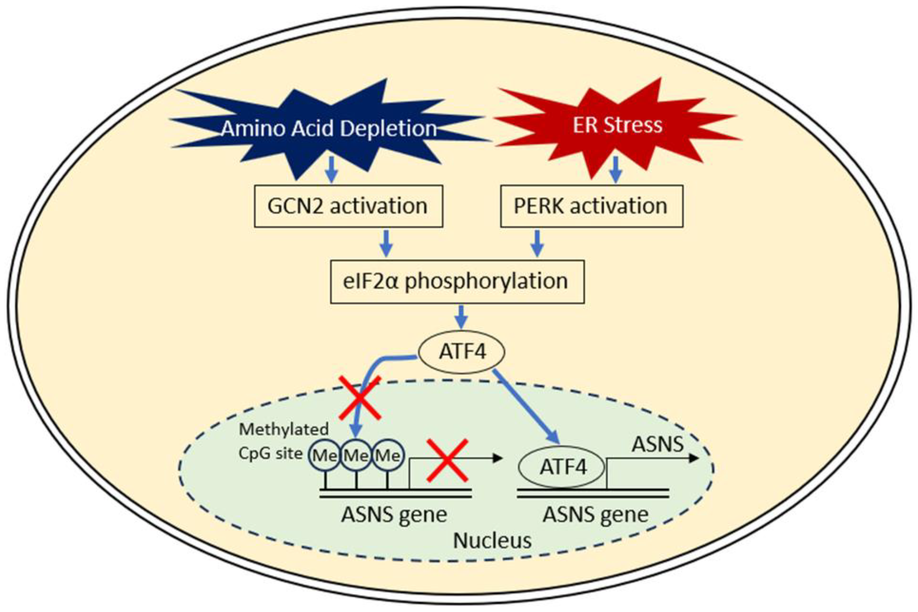 Nutrients 17 00179 g001 Nutrients 17 00179 g001