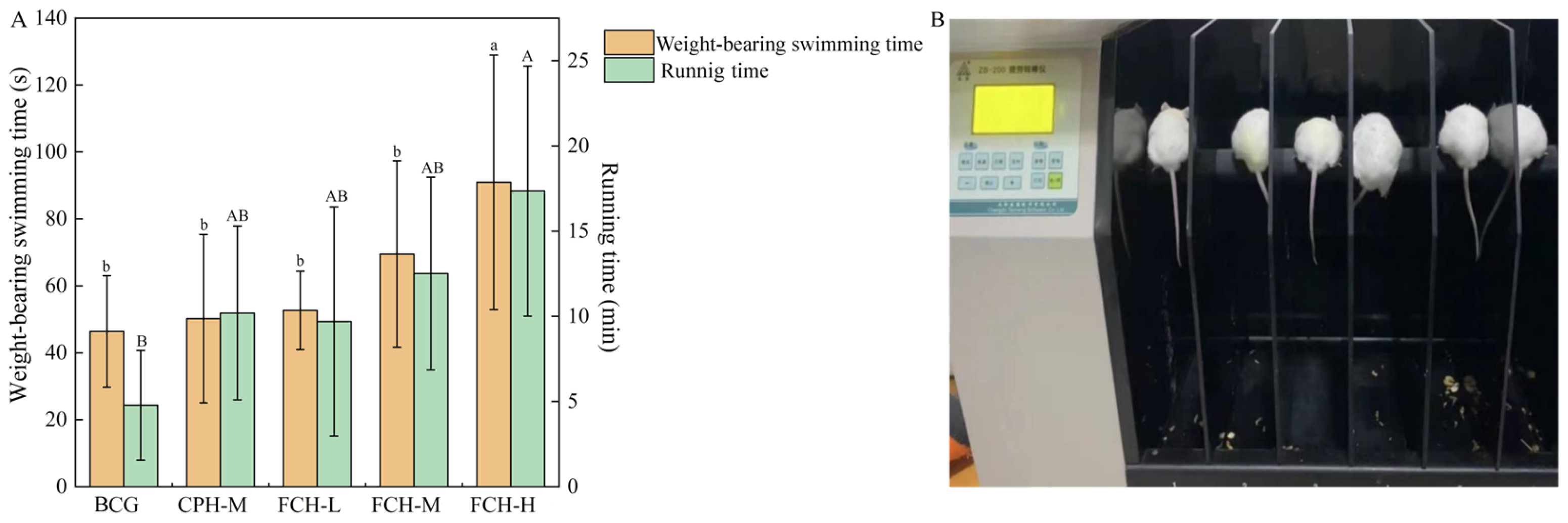 Nutrients 17 00199 g002