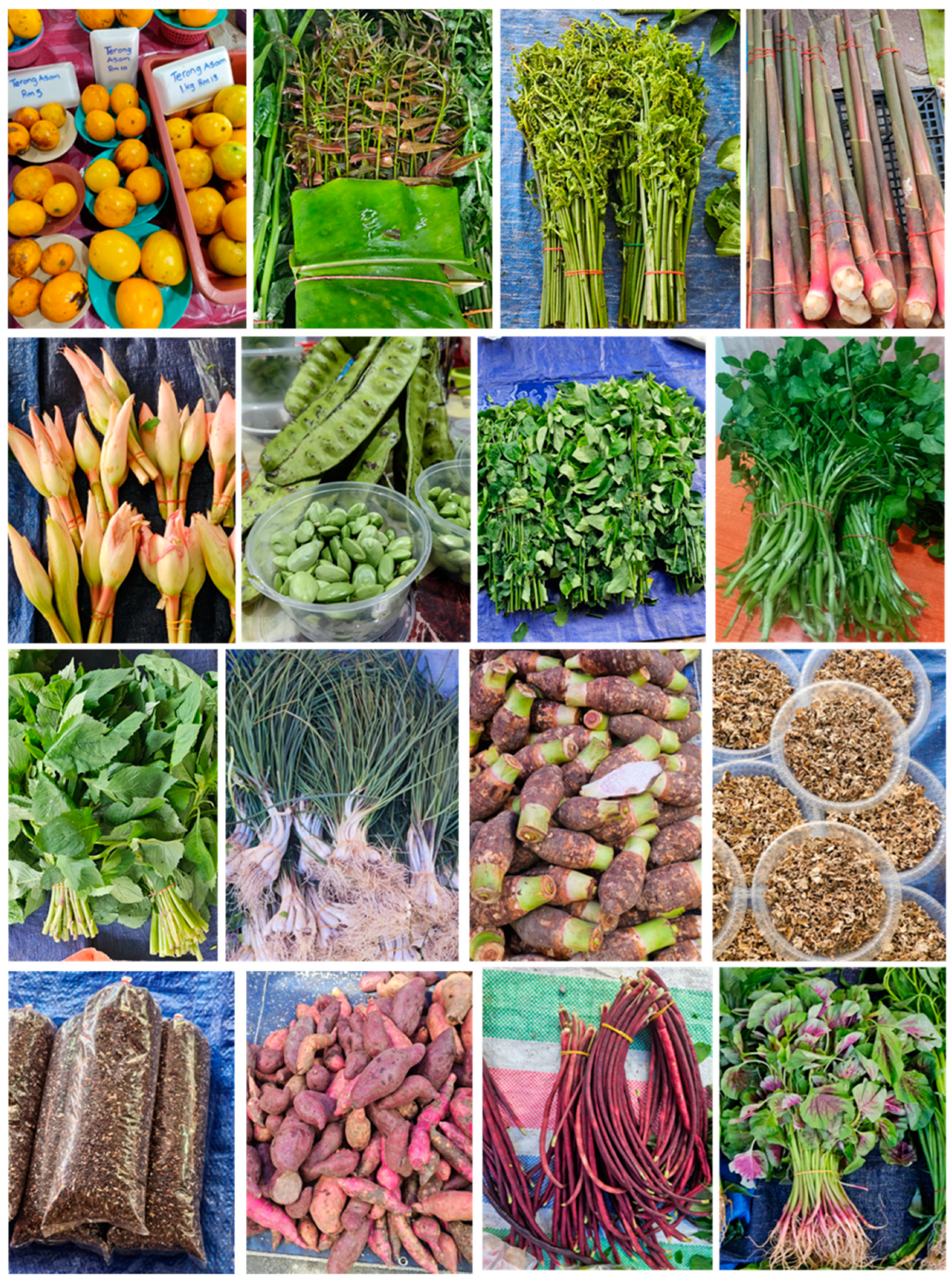 Nutrients 17 00200 g004