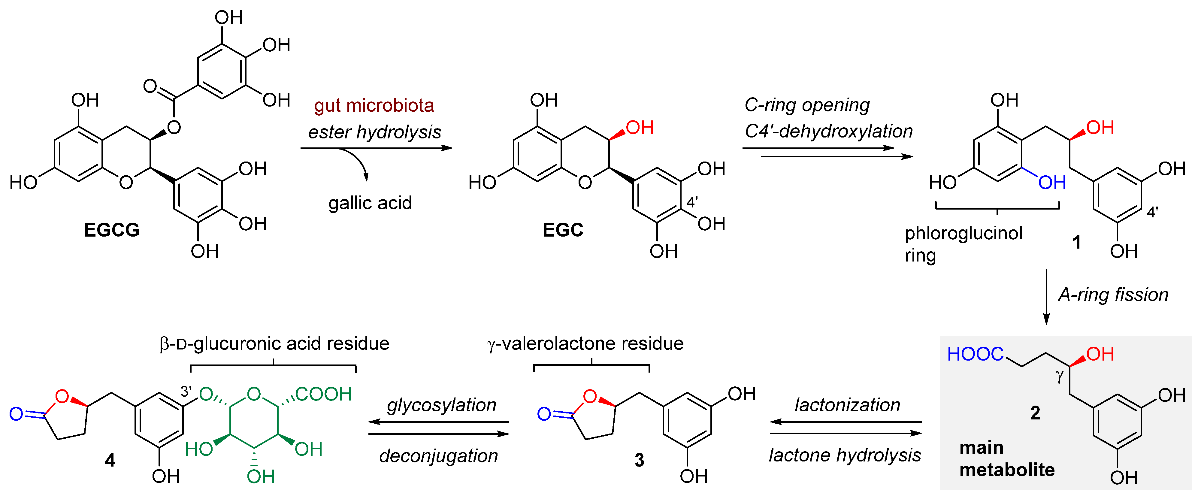 Nutrients 17 00212 g002