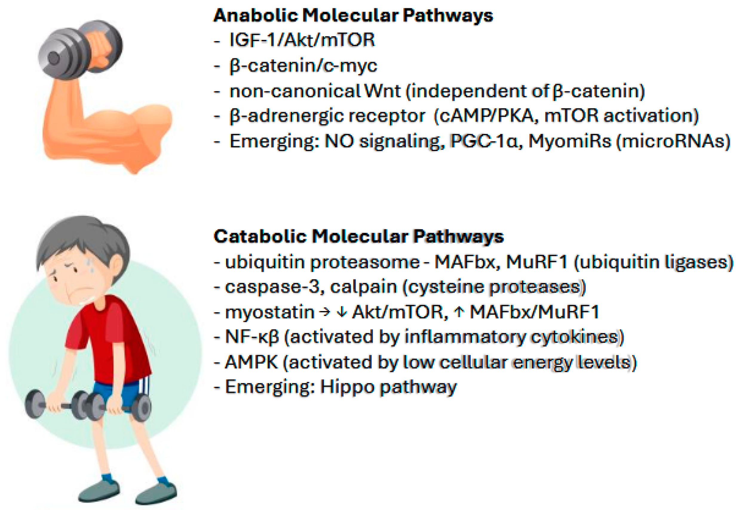 Nutrients 17 00282 g002