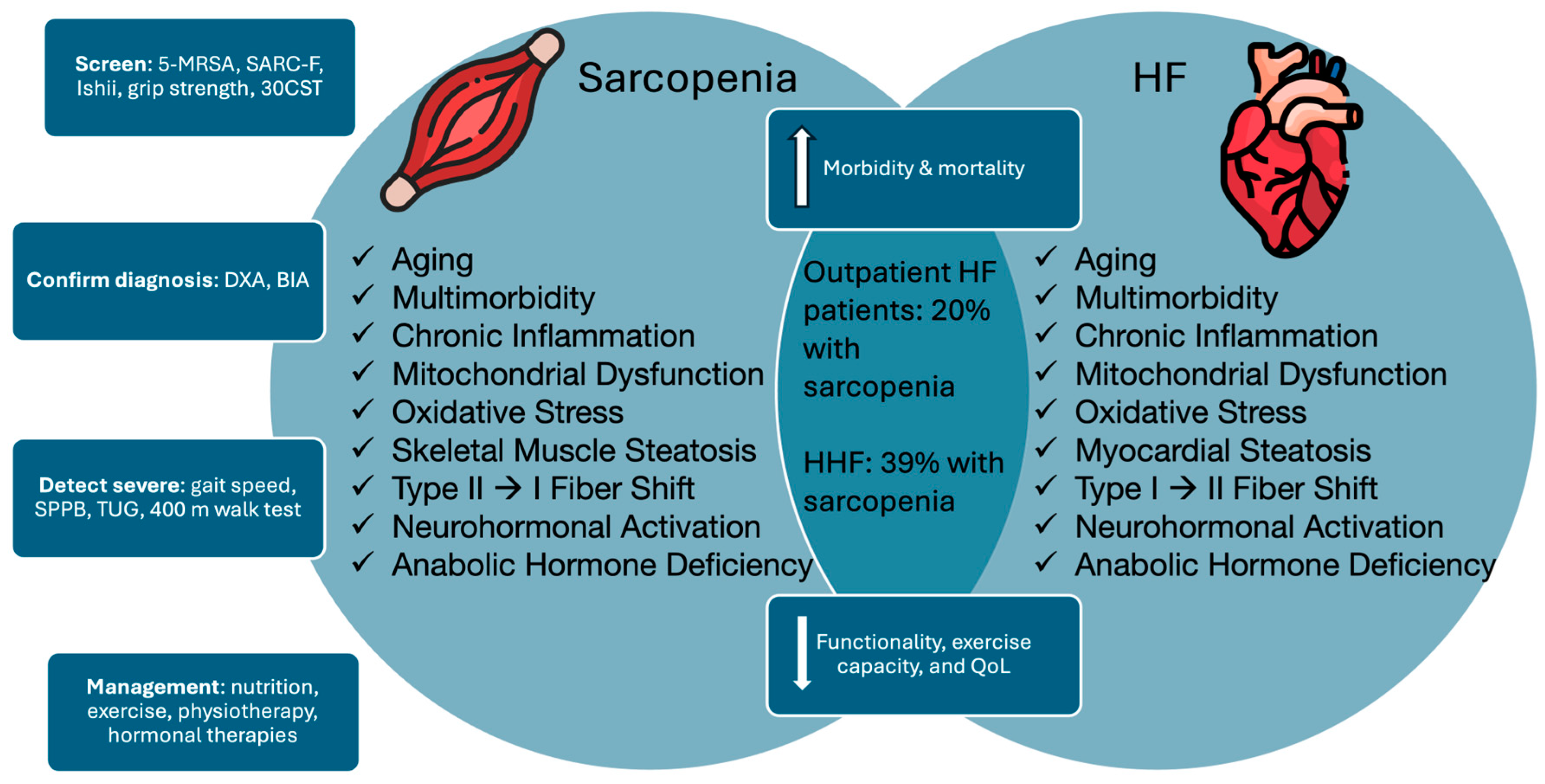 Nutrients 17 00282 g003