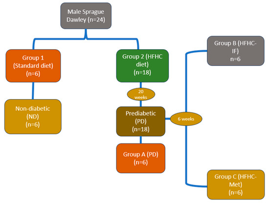 Nutrients 17 00292 g001