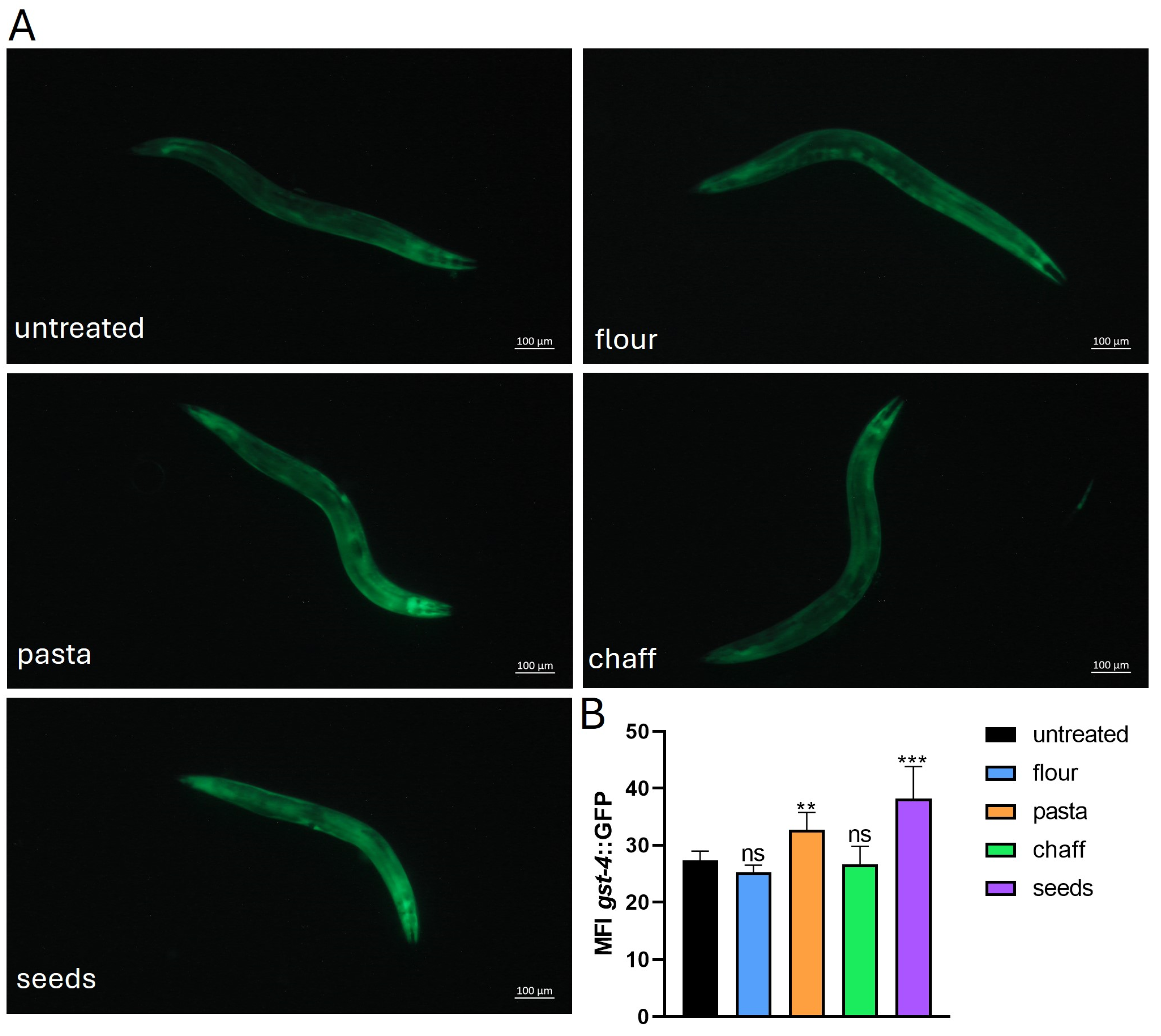 Nutrients 17 00302 g009