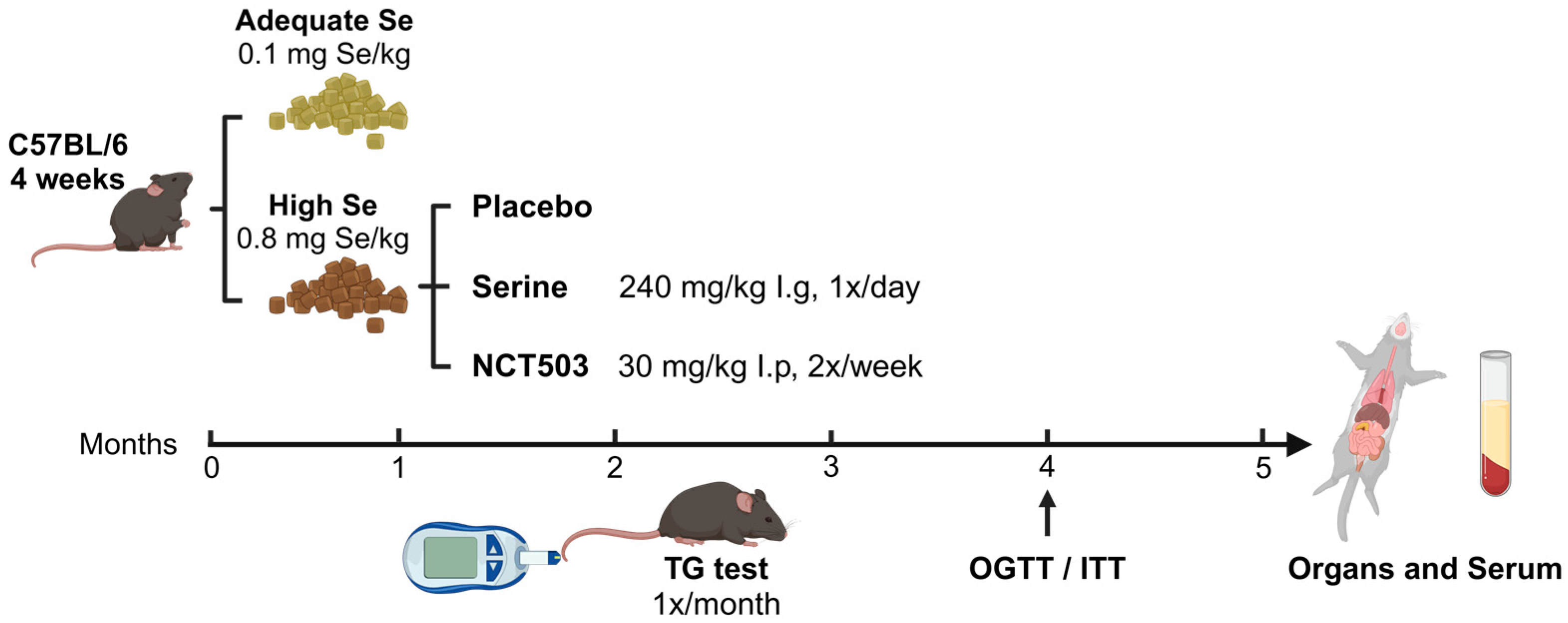 Nutrients 17 00311 g001