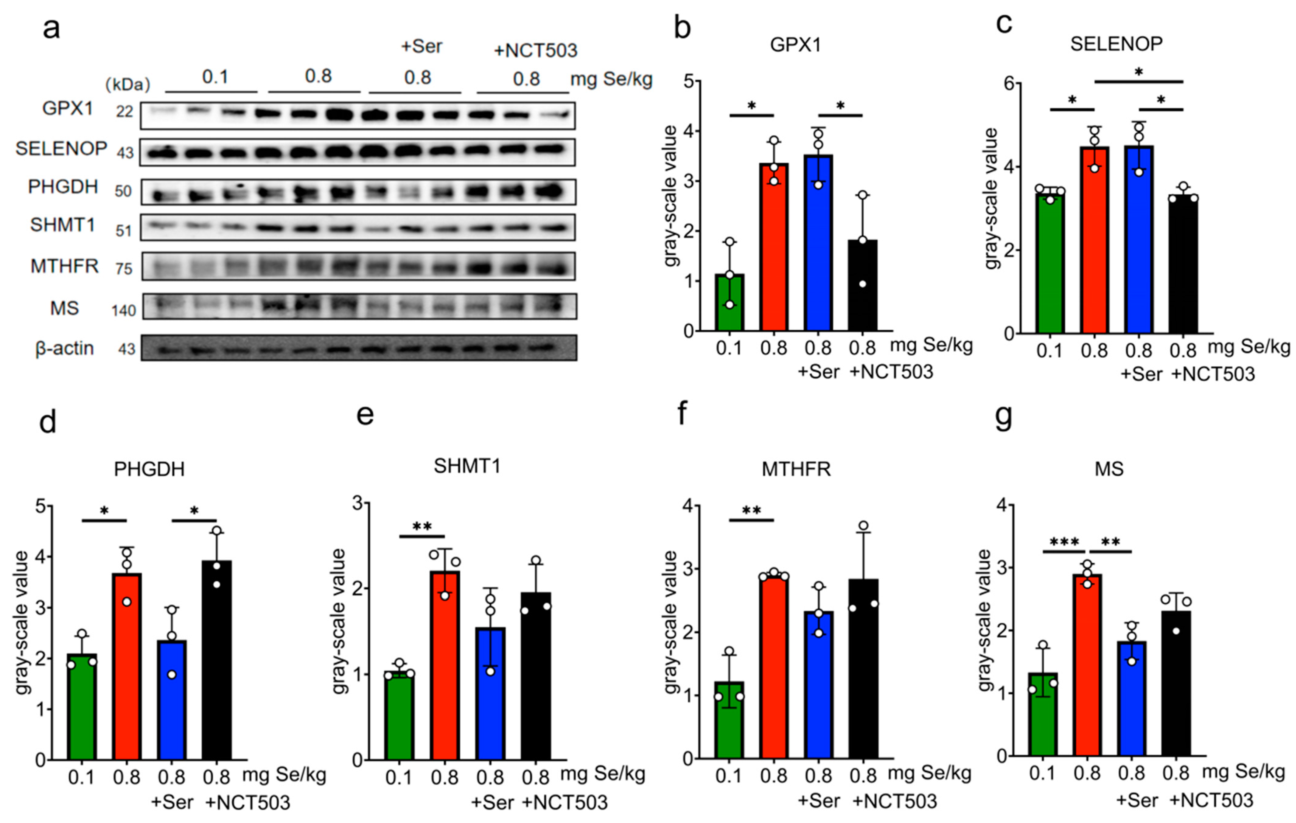 Nutrients 17 00311 g004
