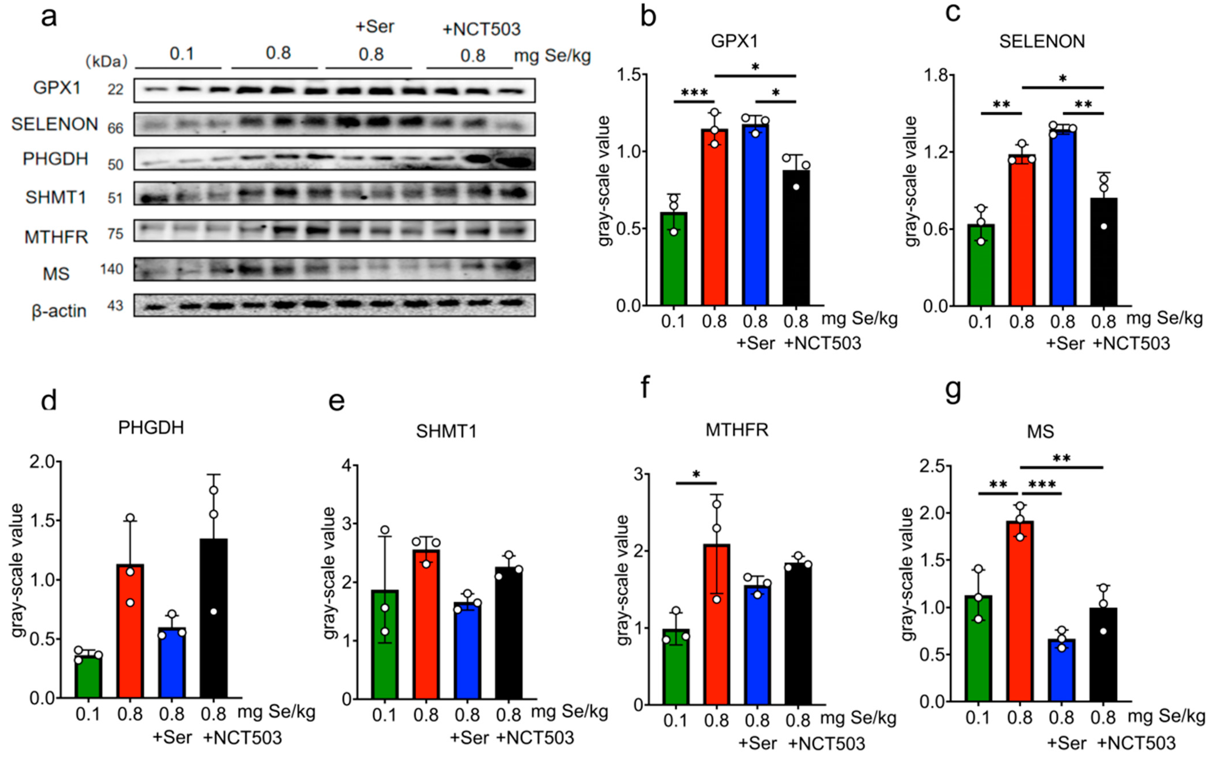 Nutrients 17 00311 g005