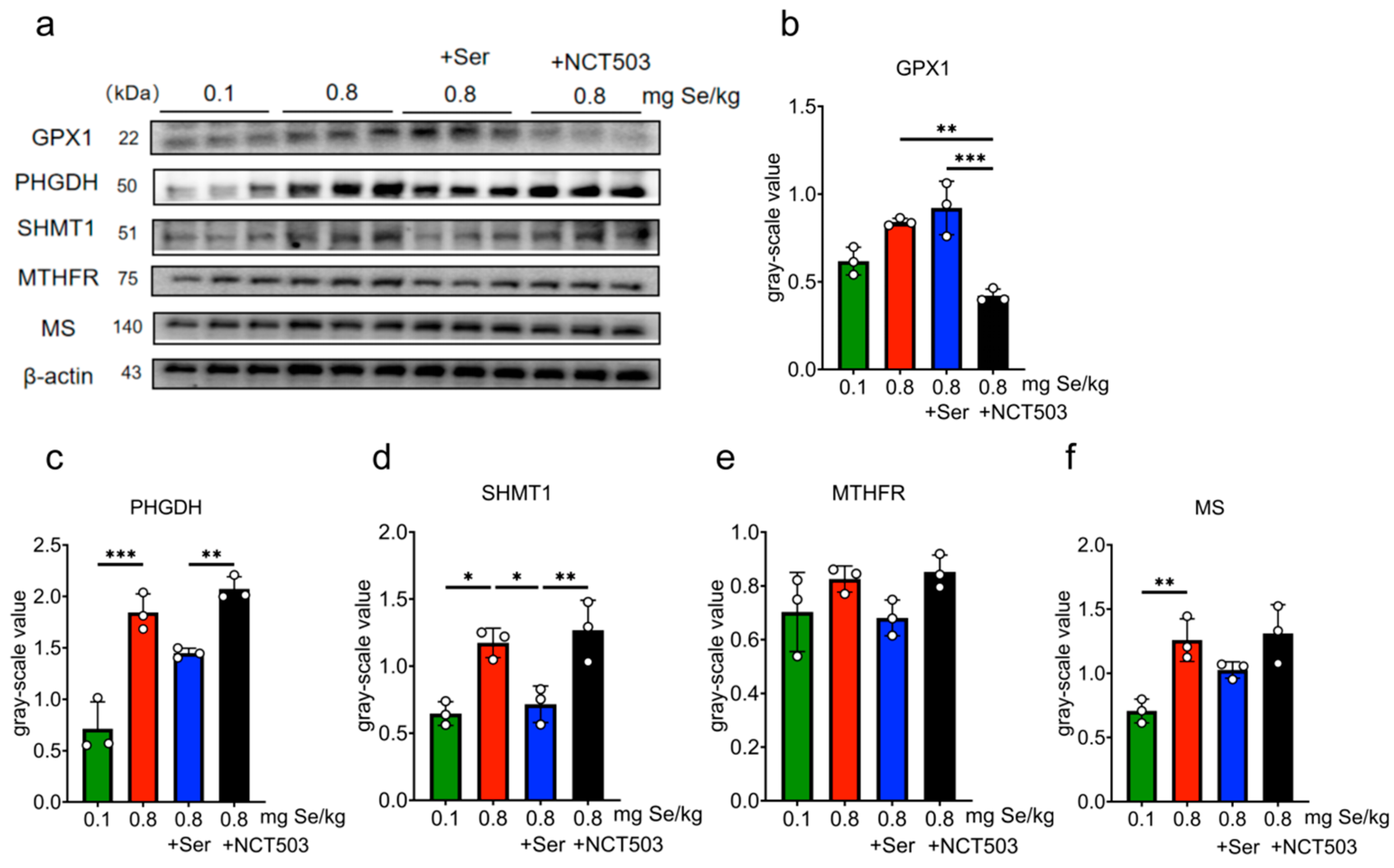 Nutrients 17 00311 g006