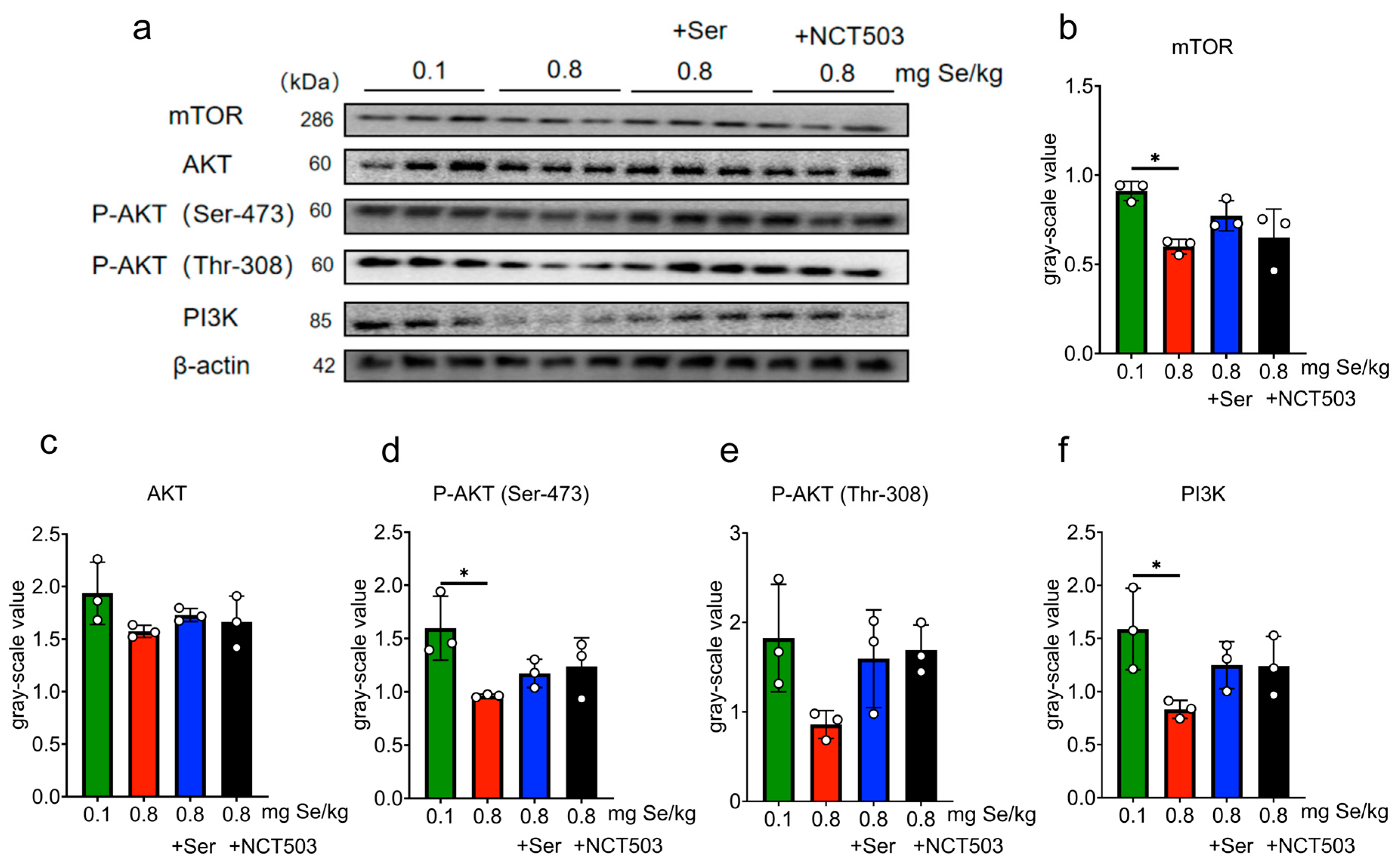 Nutrients 17 00311 g008