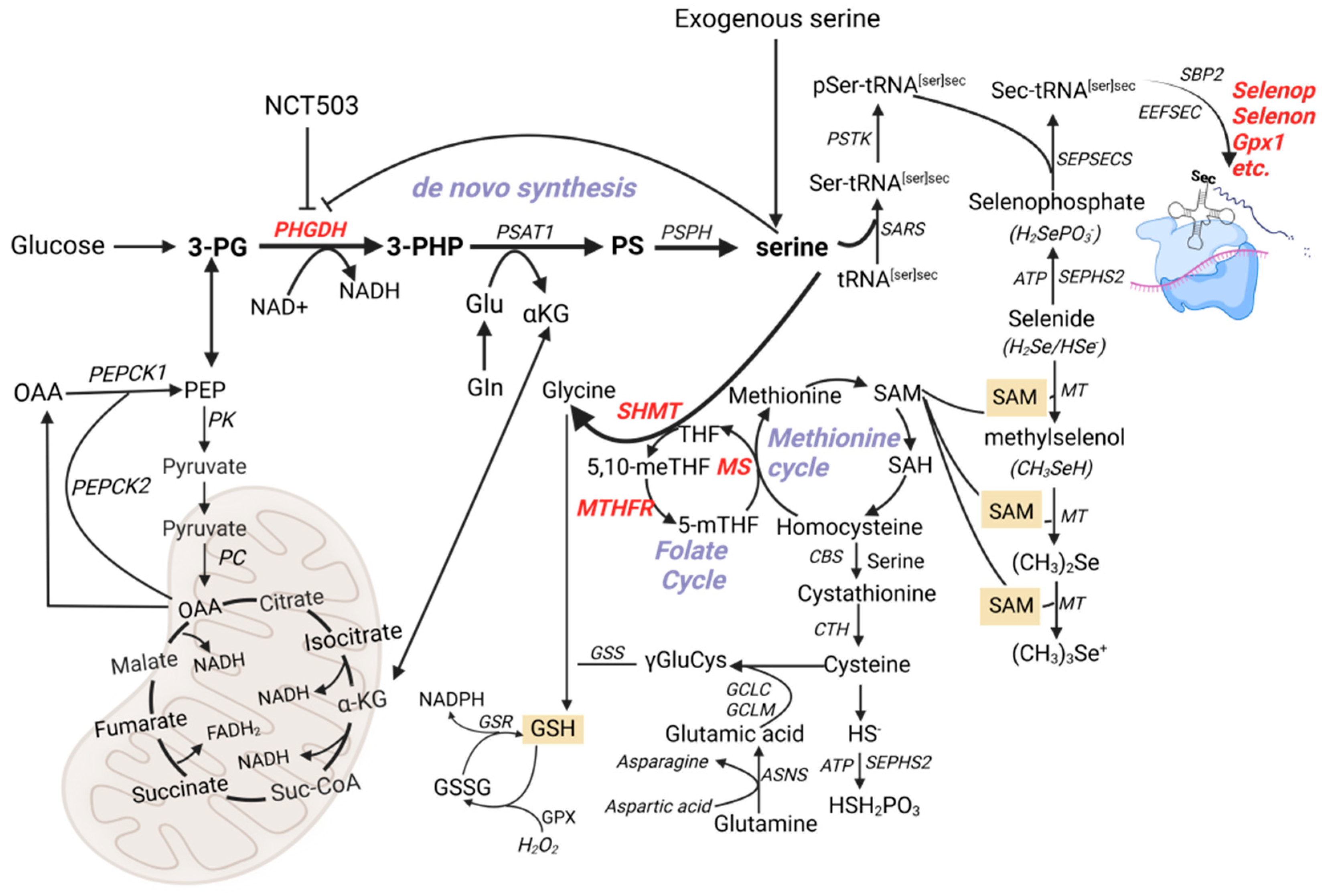 Nutrients 17 00311 g010