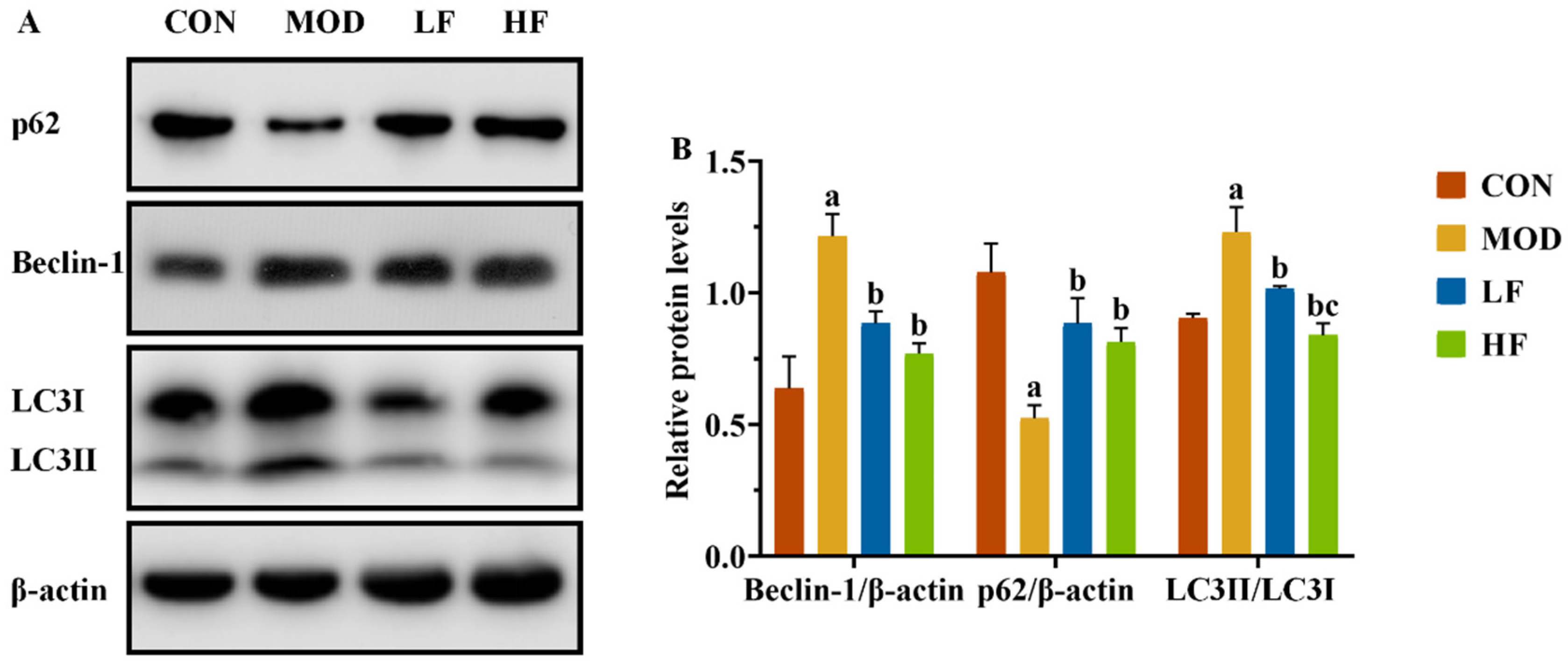 Nutrients 17 00325 g007
