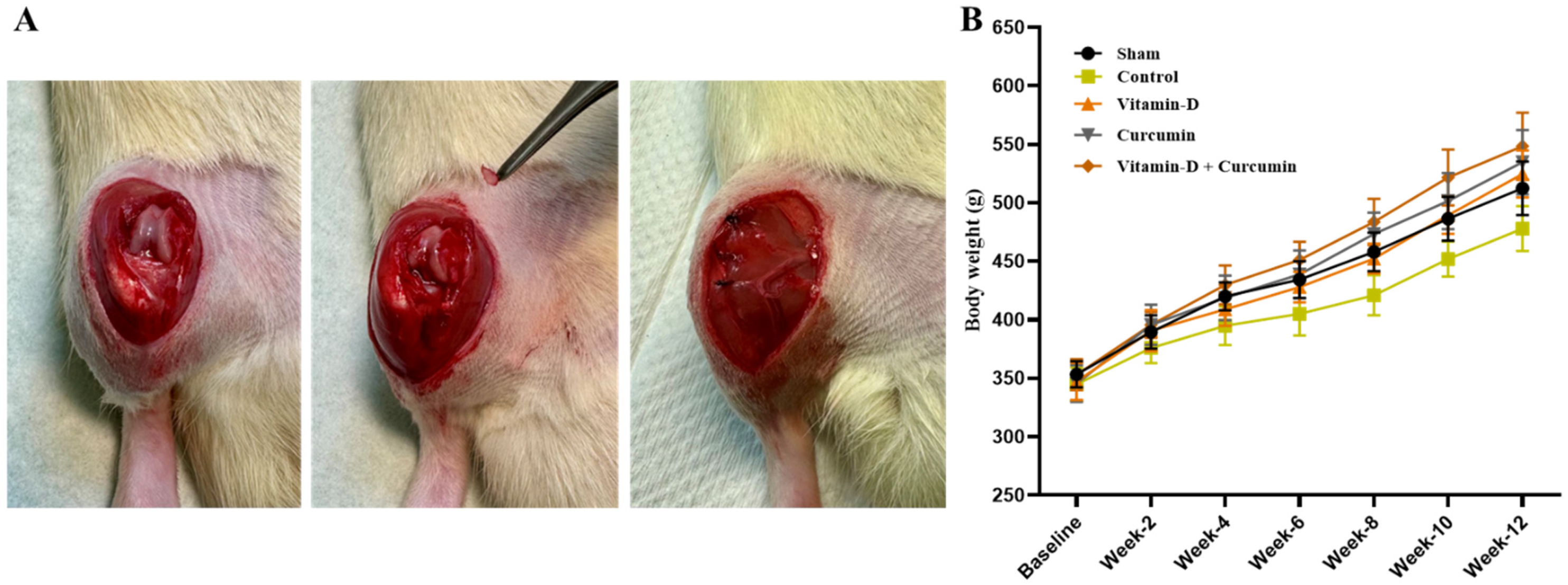 Nutrients 17 00349 g002