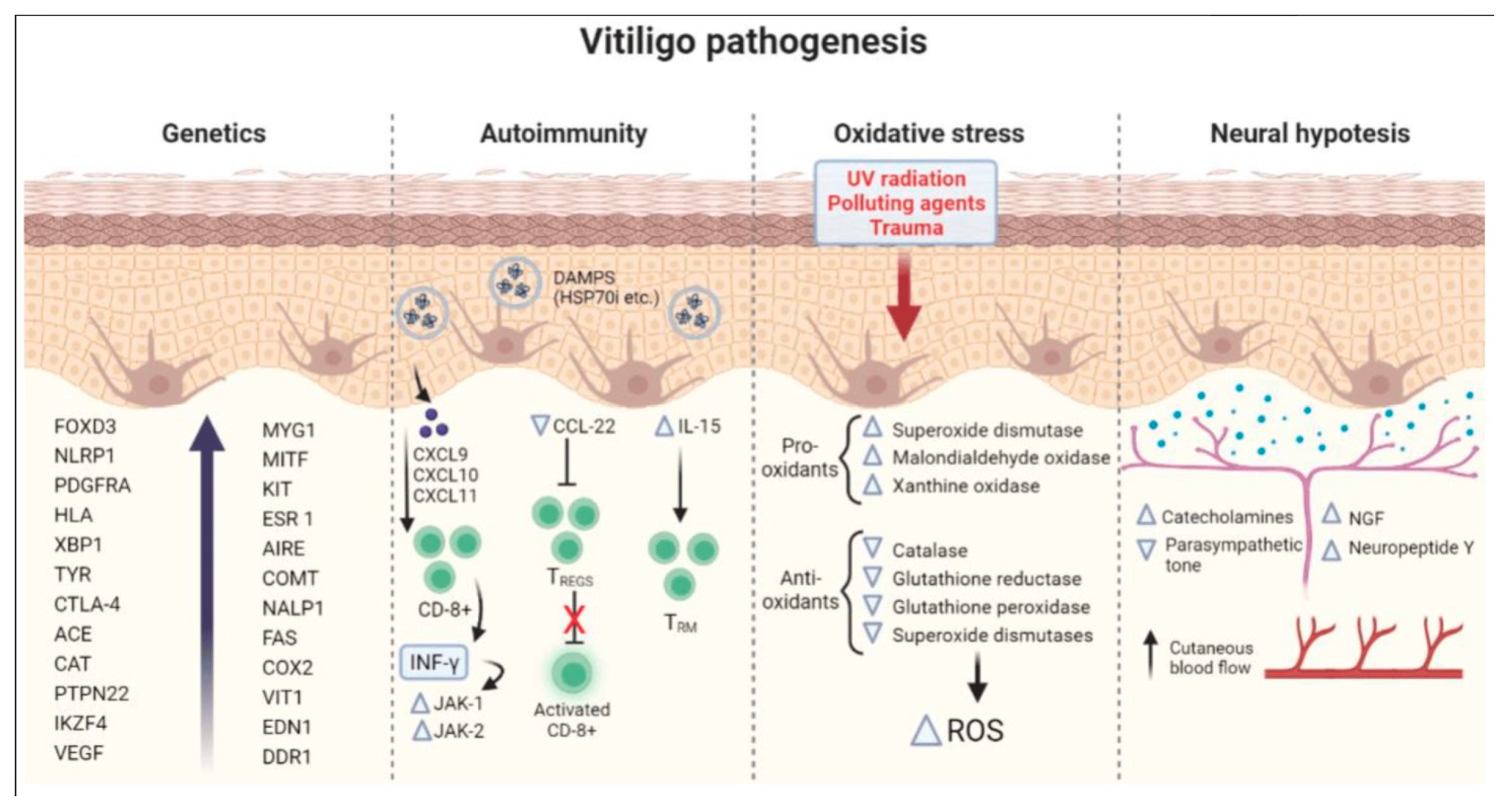 Nutrients 17 00357 g002