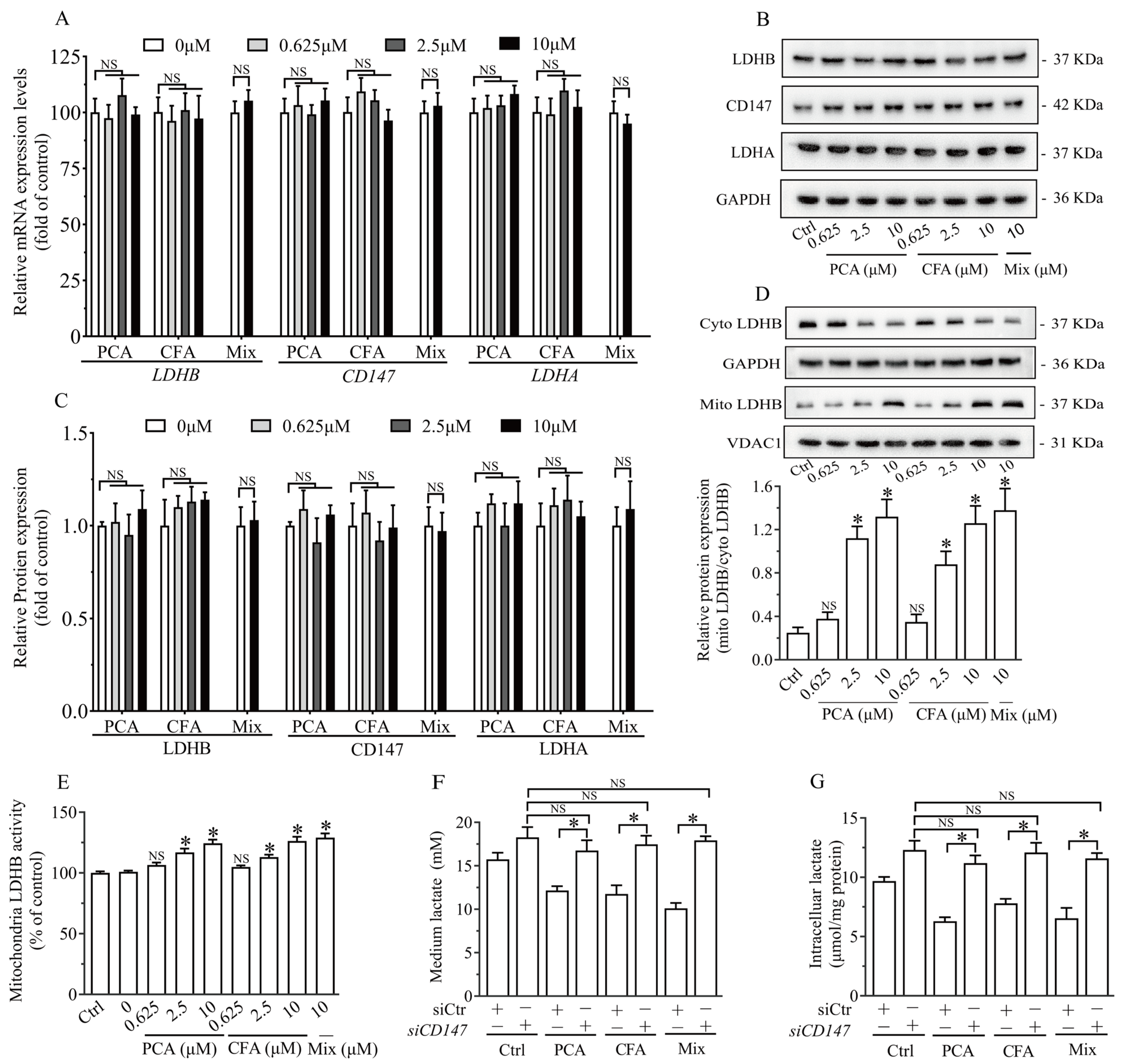 Nutrients 17 00365 g006