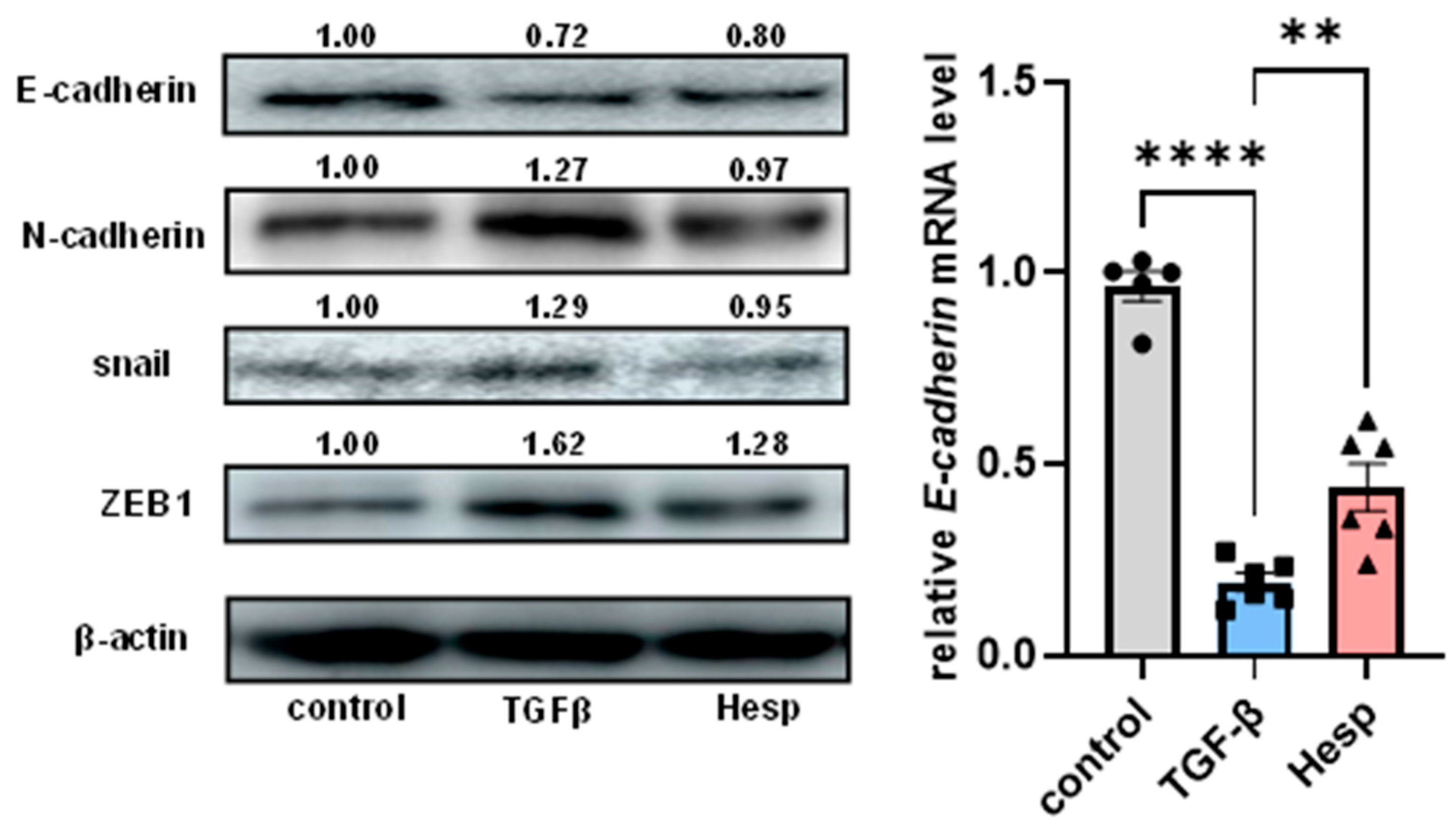 Nutrients 17 00383 g006