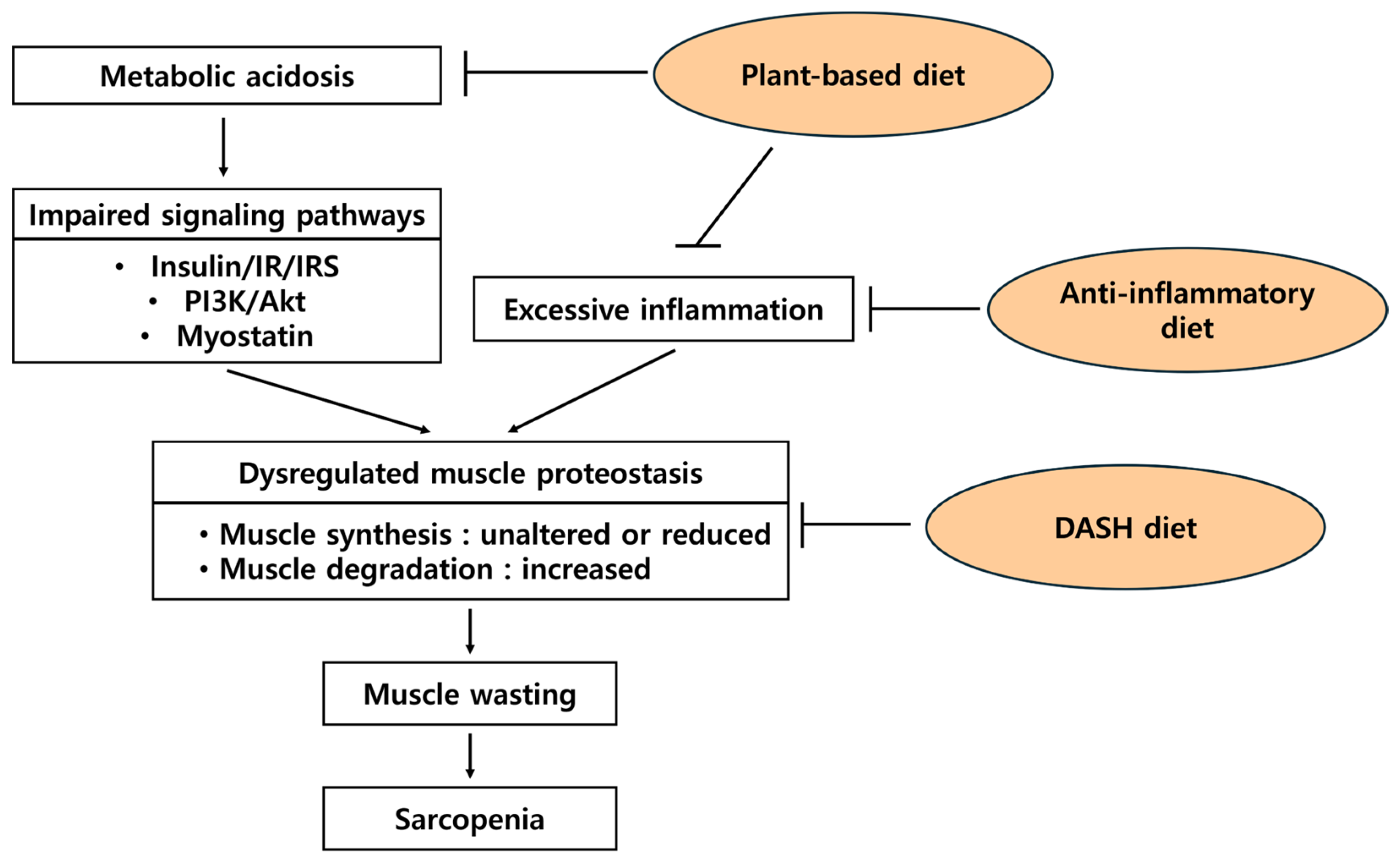 Nutrients 17 00404 g003 Nutrients 17 00404 g003