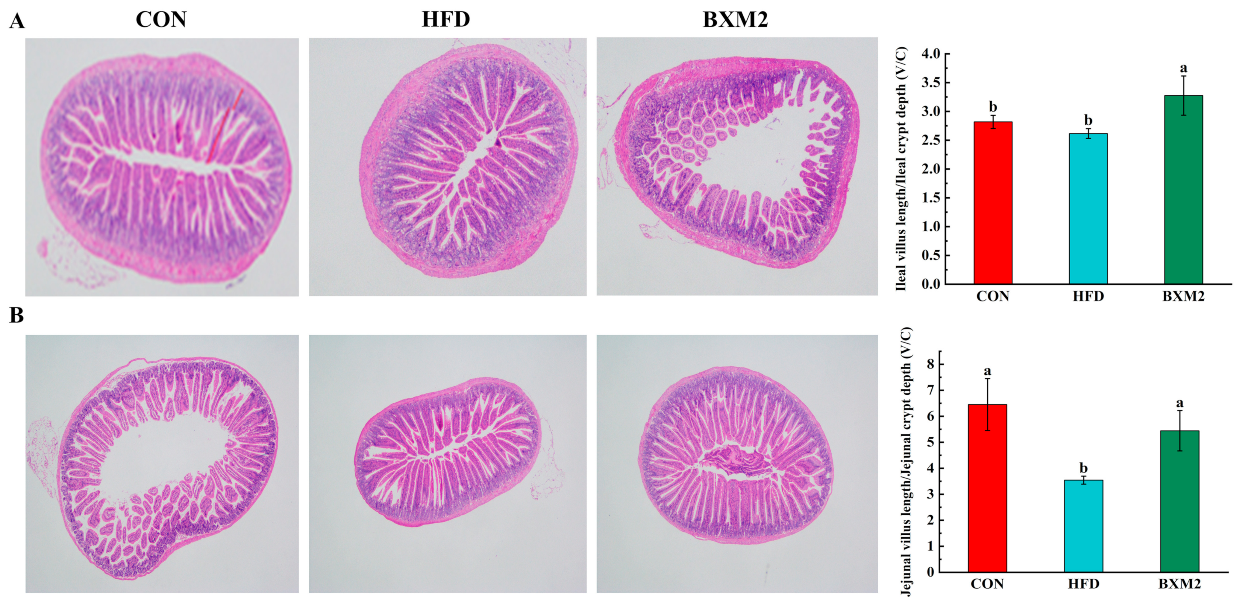 Nutrients 17 00407 g003