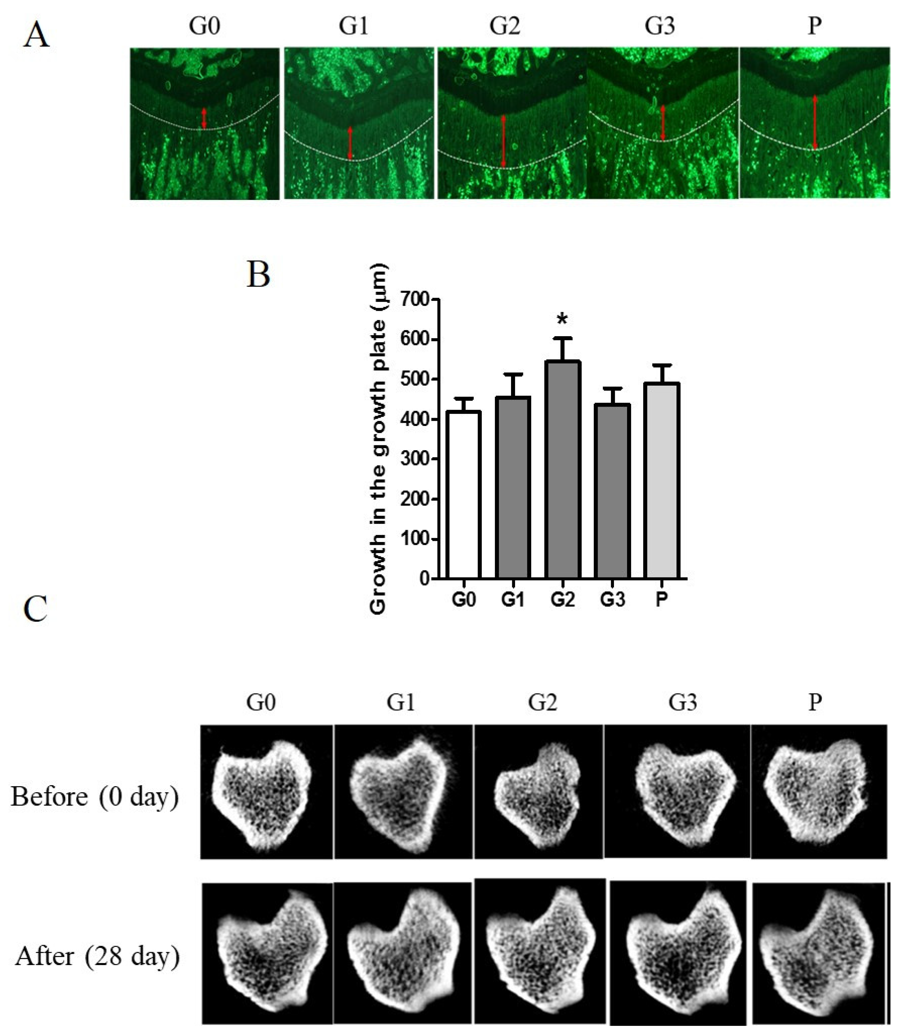 Nutrients 17 00416 g006