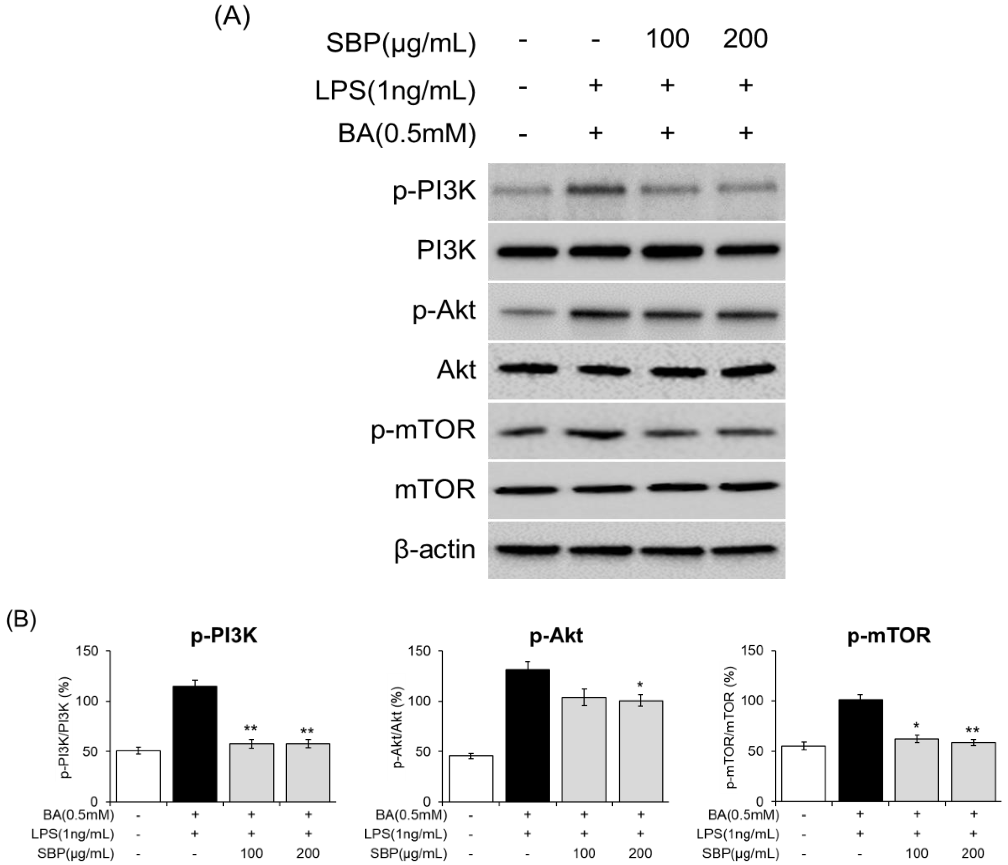 Nutrients 17 00468 g011