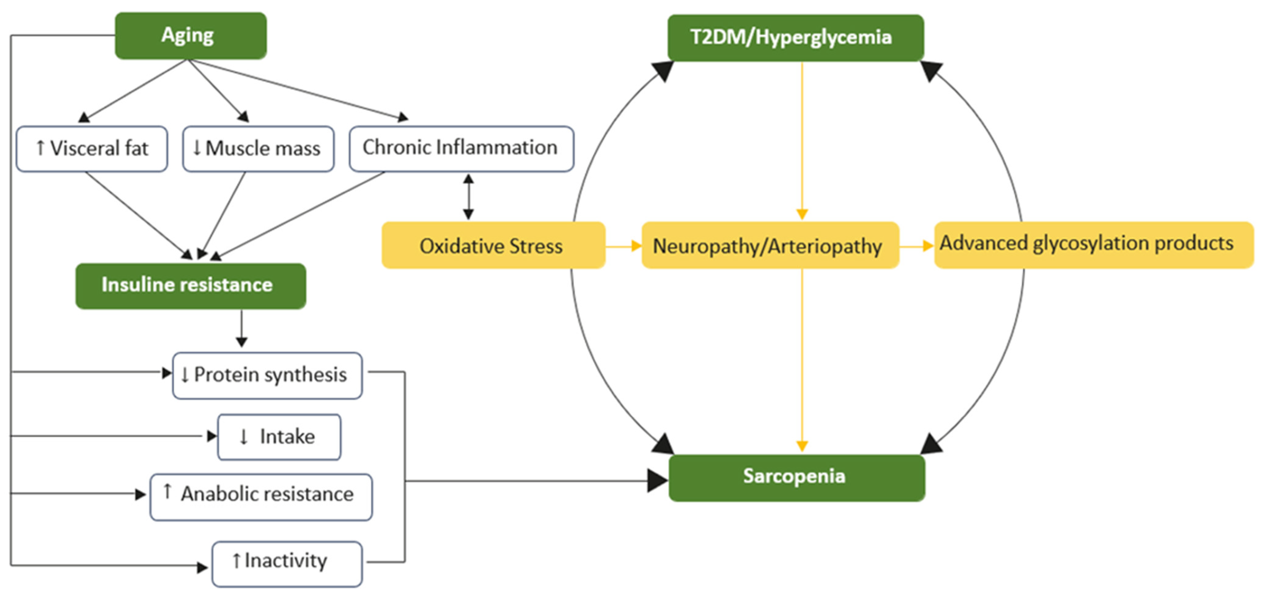 Nutrients 17 00499 g001