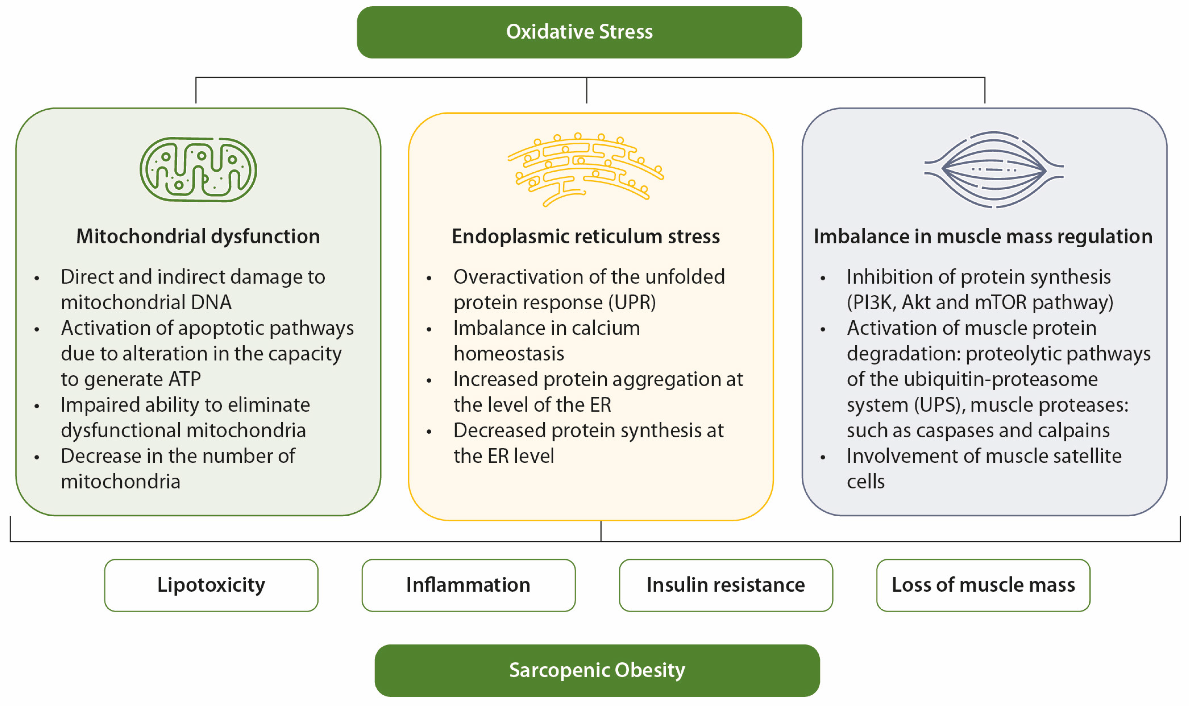 Nutrients 17 00499 g002