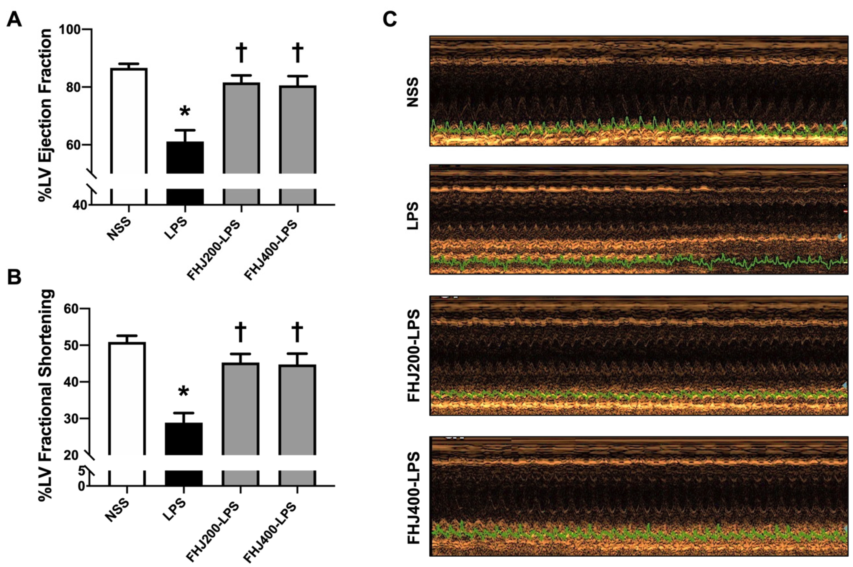 Nutrients 17 00501 g002