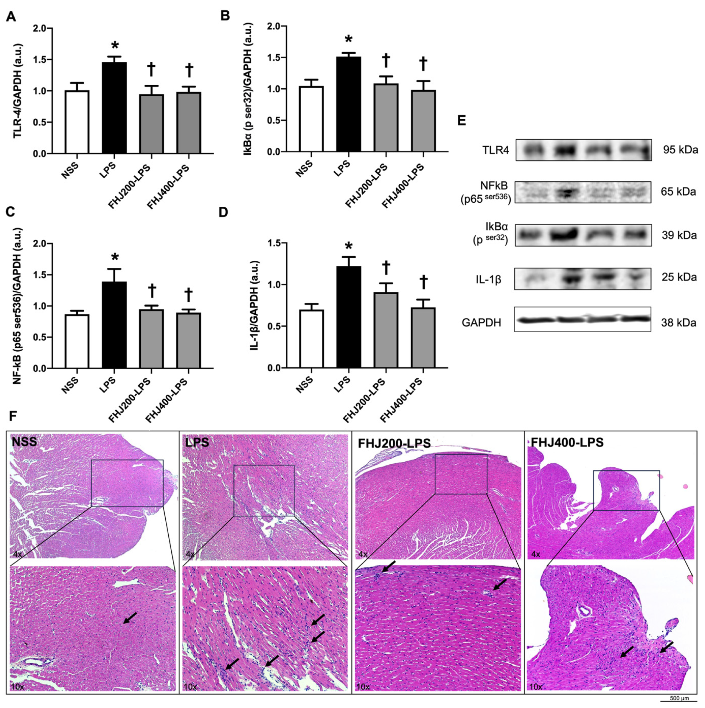 Nutrients 17 00501 g004