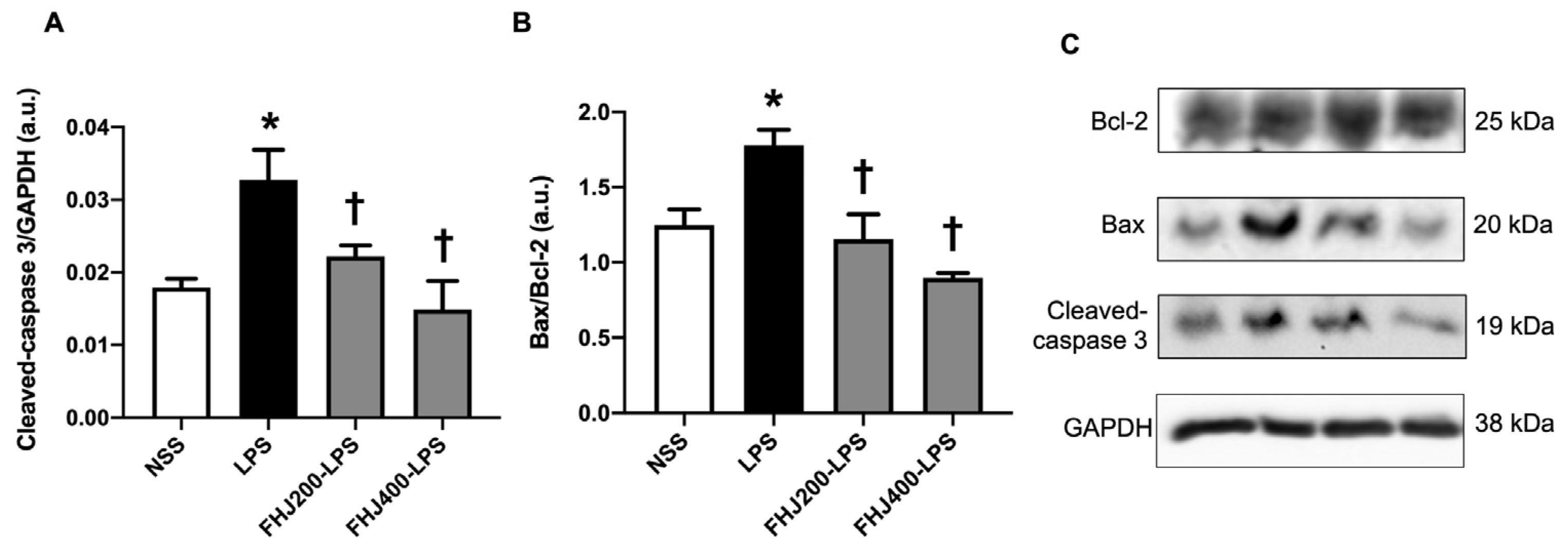 Nutrients 17 00501 g005