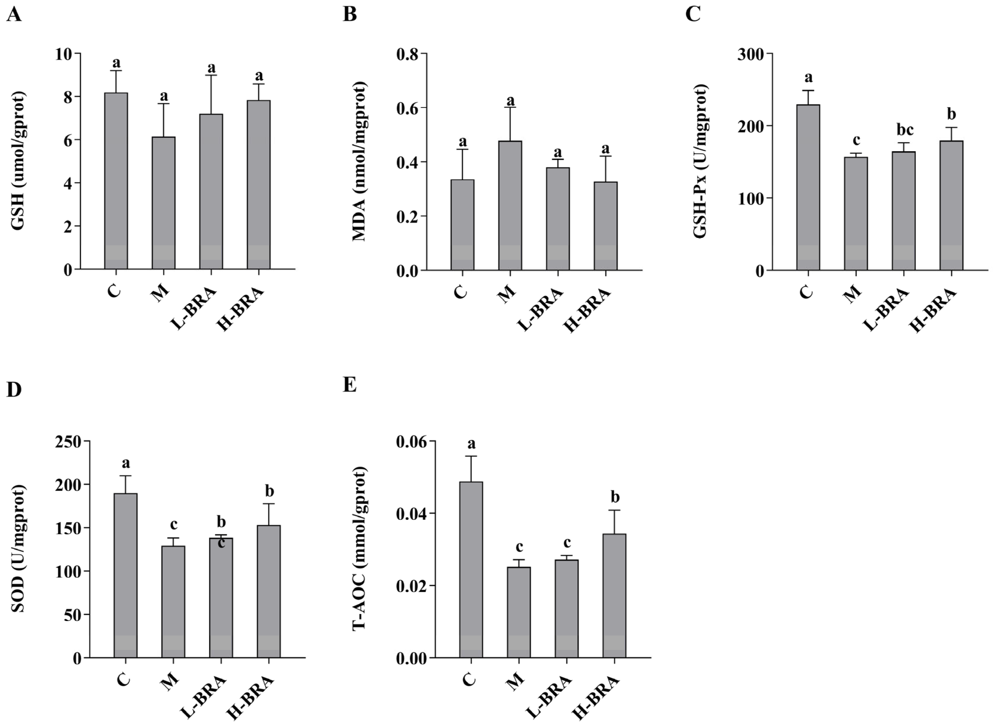 Nutrients 17 00502 g002