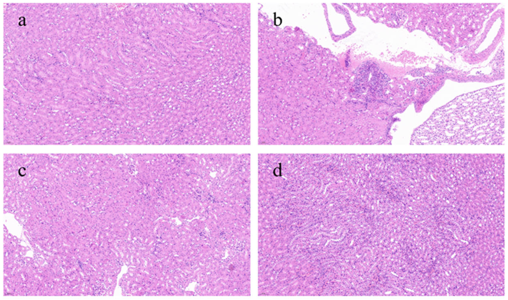 Nutrients 17 00502 g004