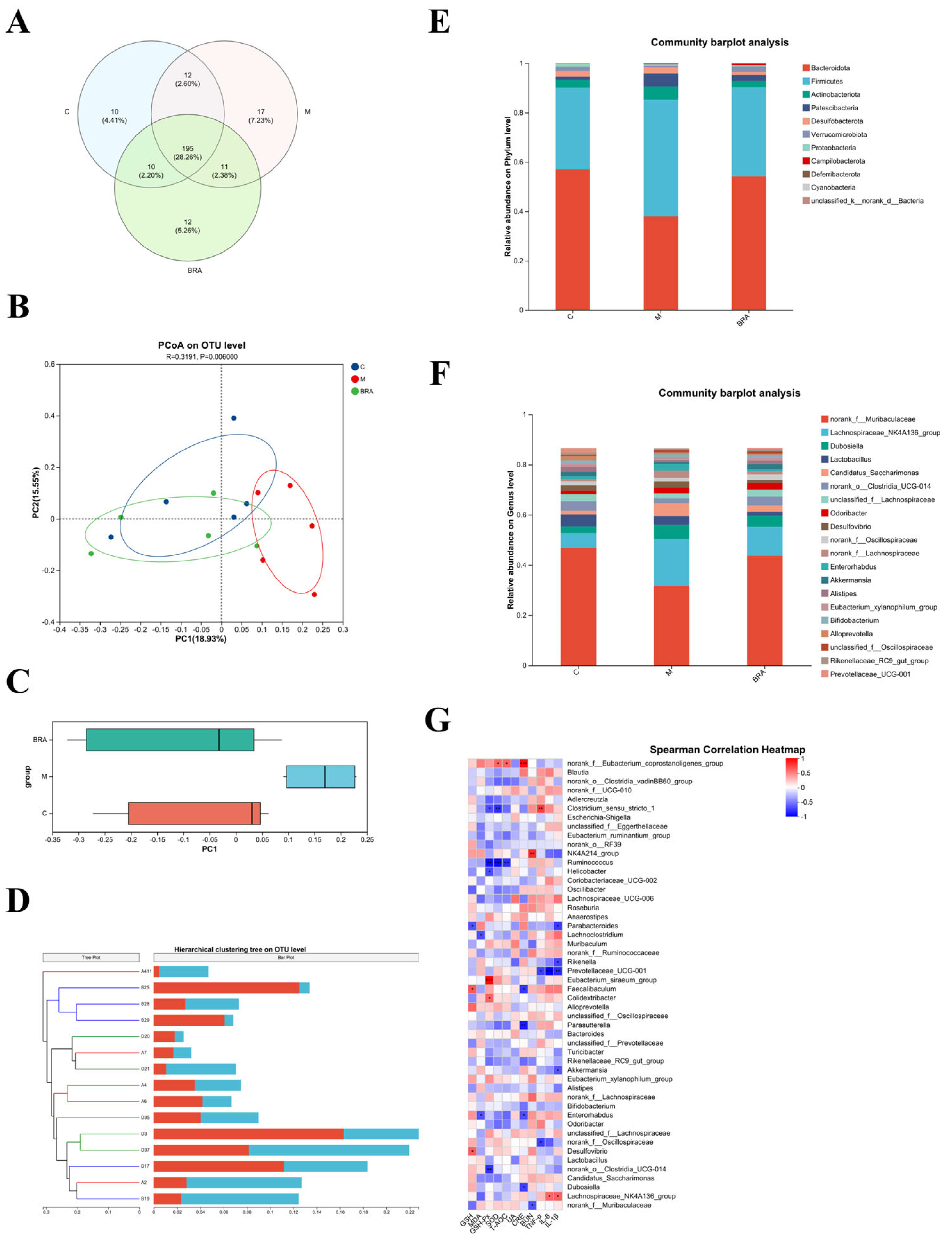 Nutrients 17 00502 g006