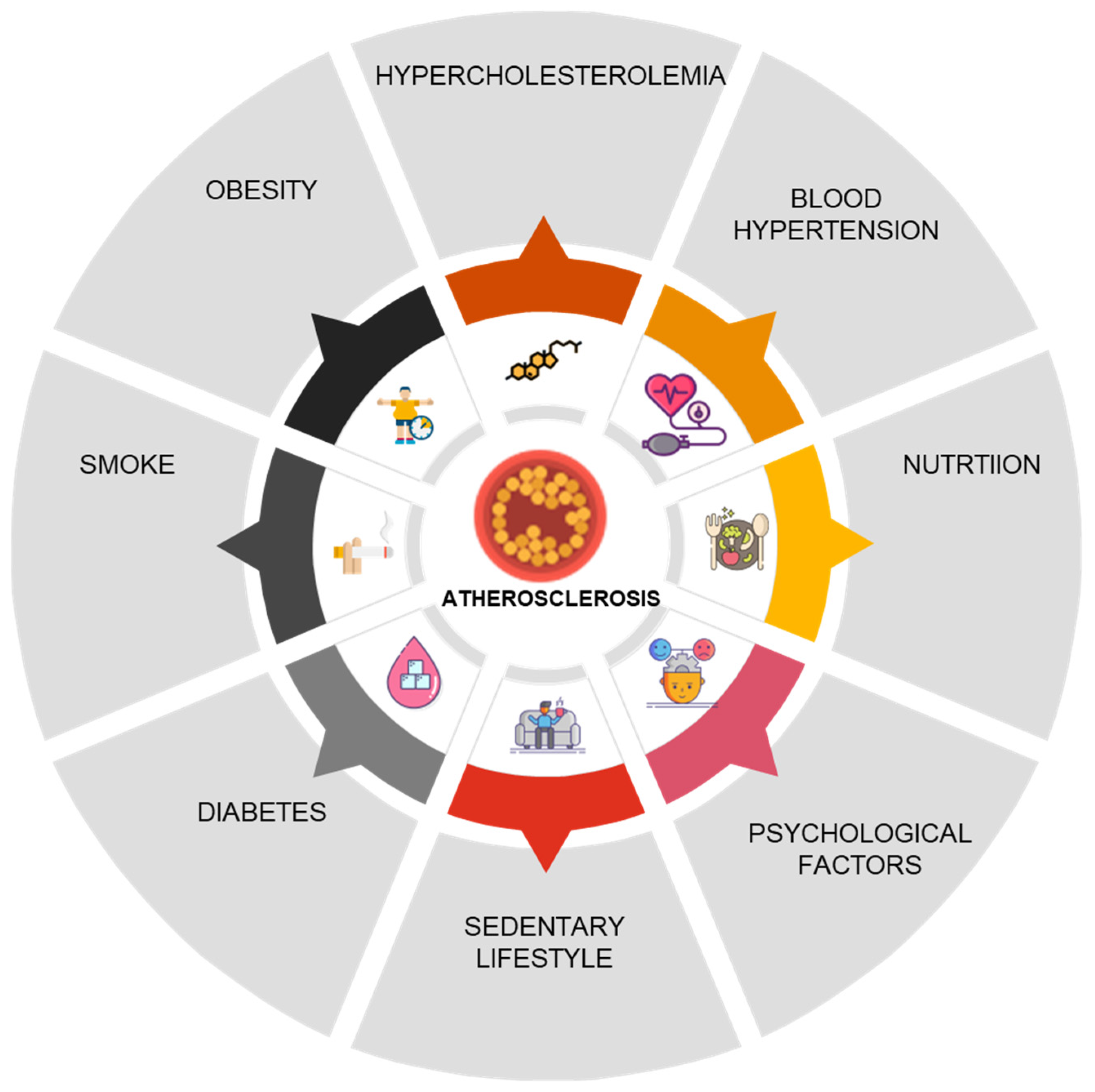 Nutrients 17 00511 g001