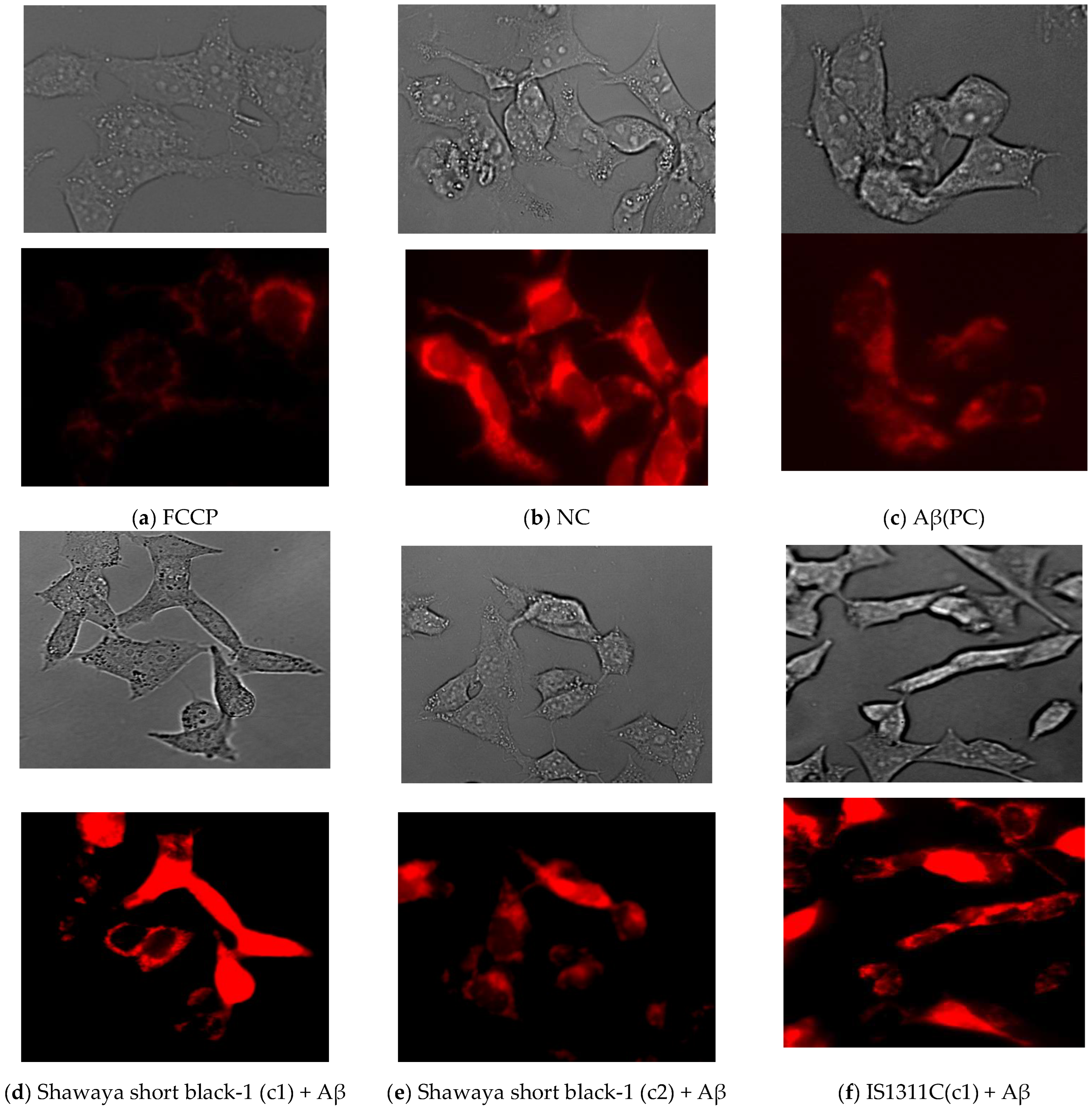 Nutrients 17 00516 g005a