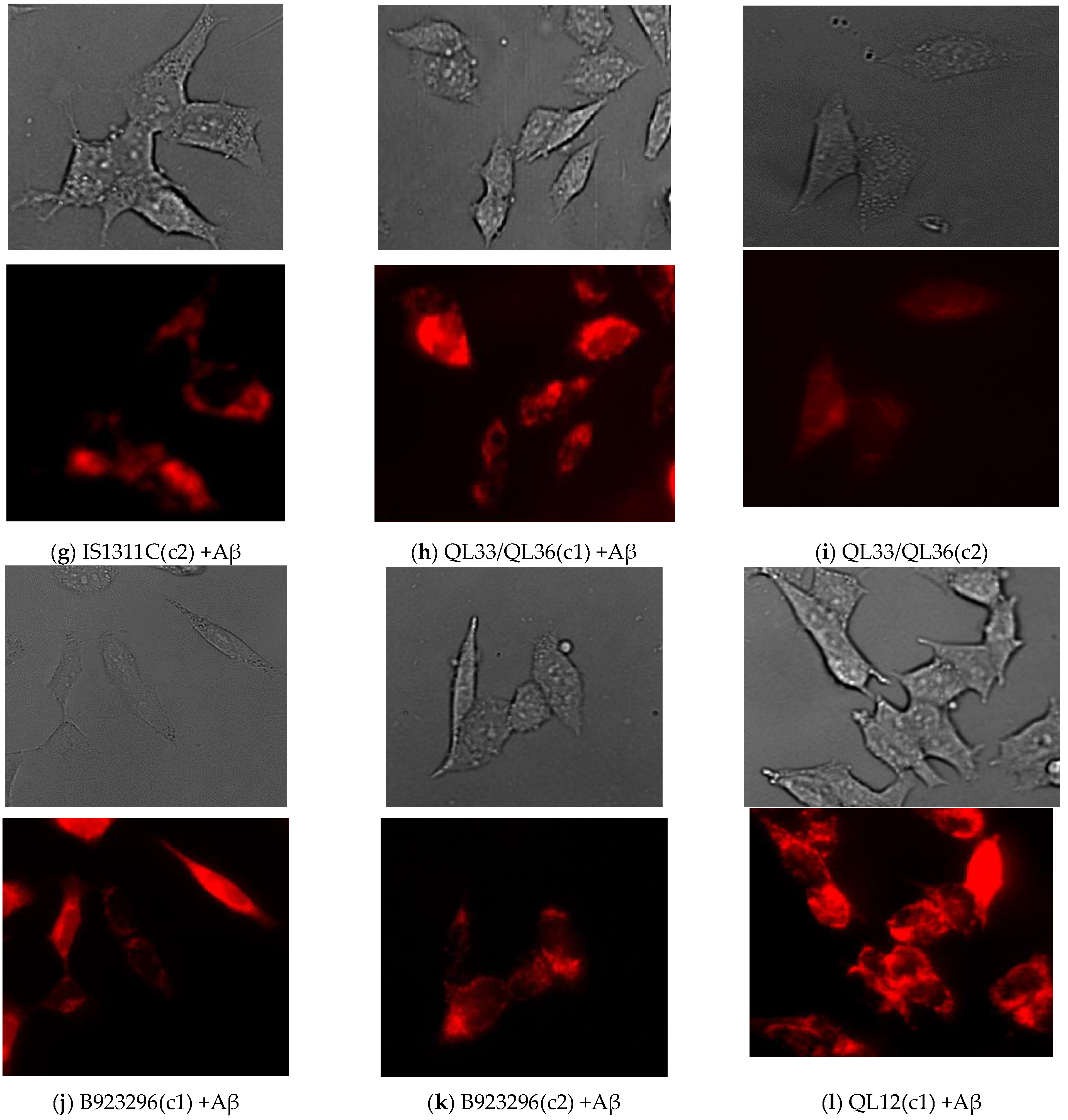 Nutrients 17 00516 g005b