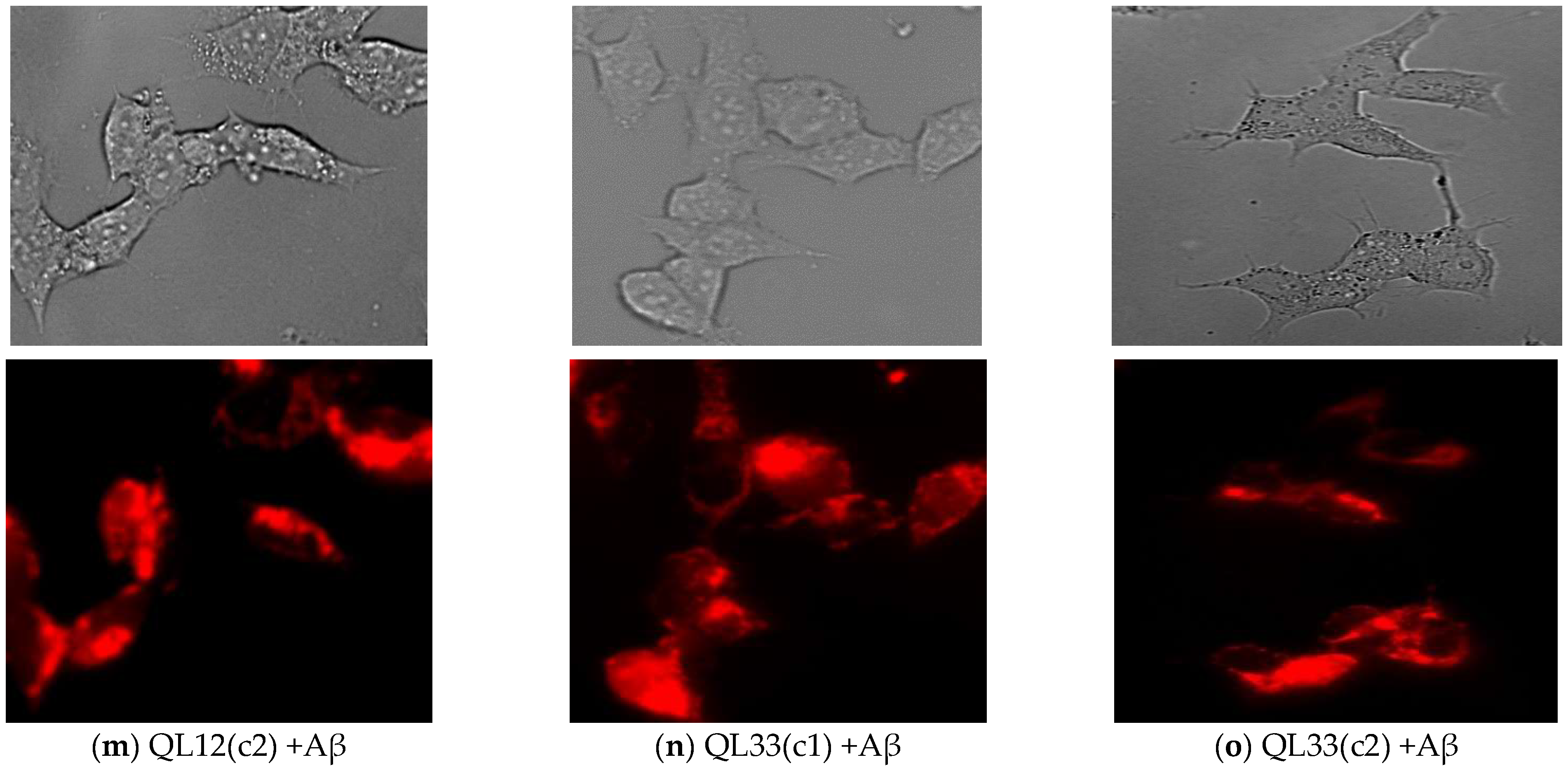 Nutrients 17 00516 g005c