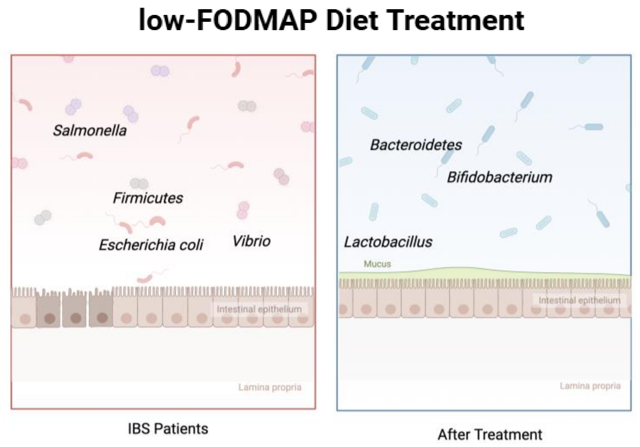 Nutrients 17 00544 g003