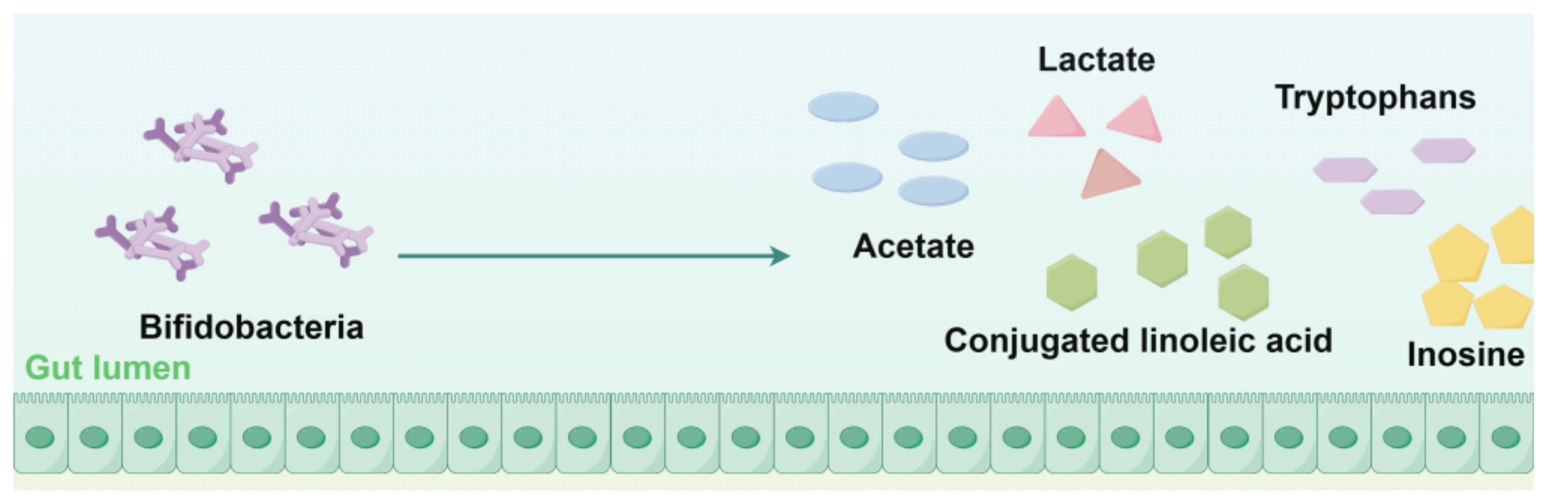 Nutrients 17 00544 g004