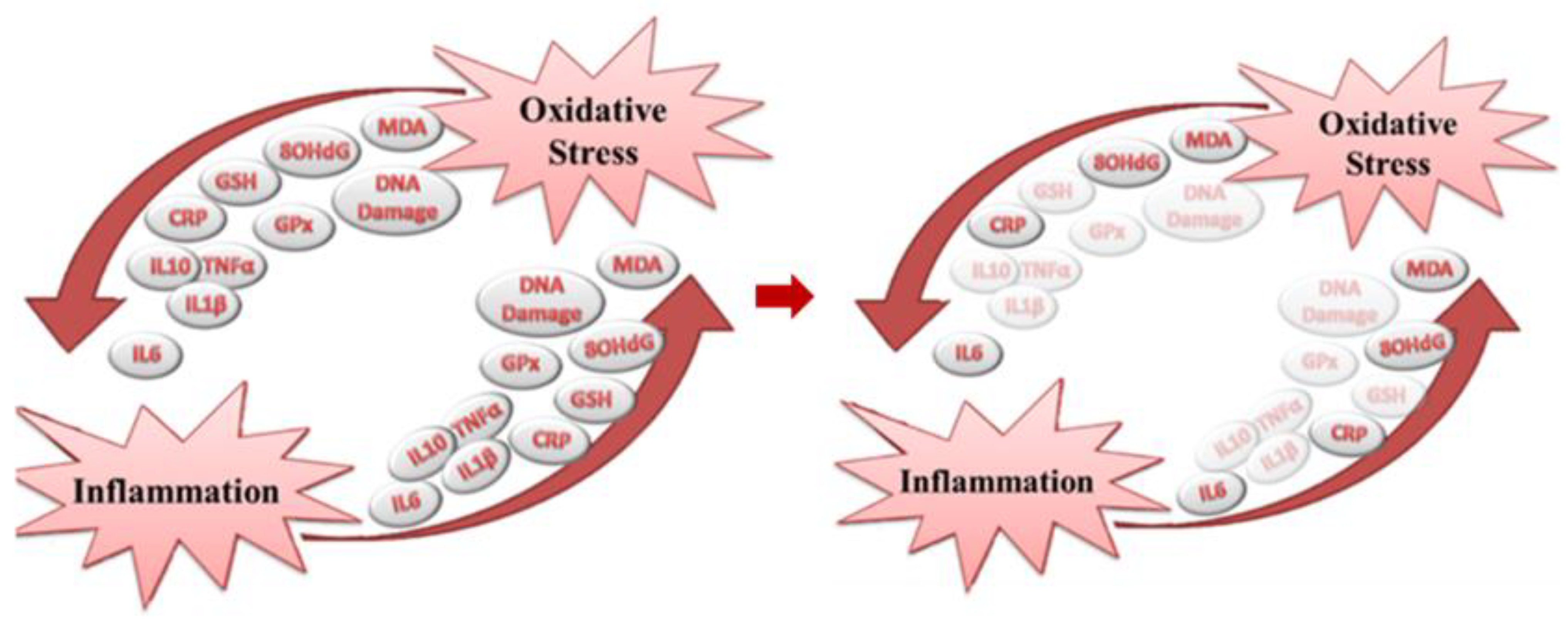 Nutrients 17 00548 g001