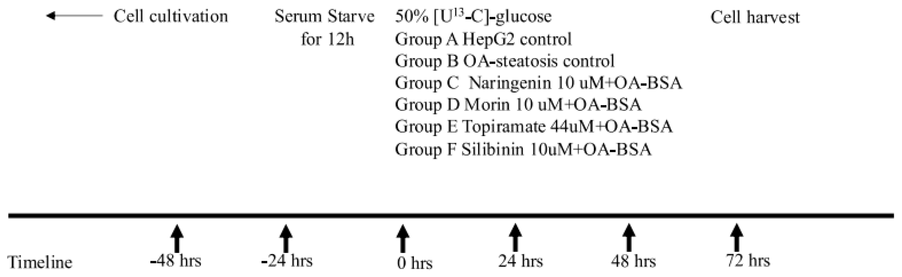 Nutrients 17 00564 g001