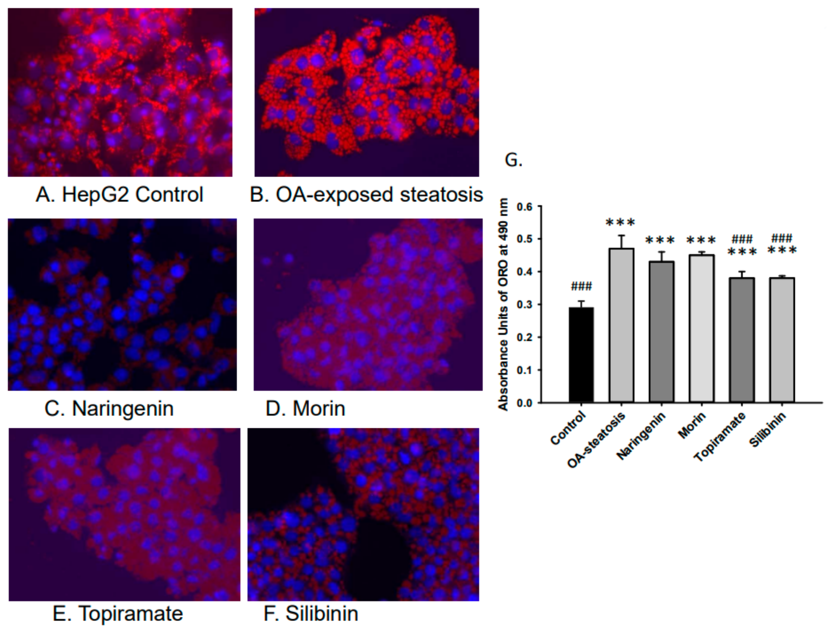 Nutrients 17 00564 g002