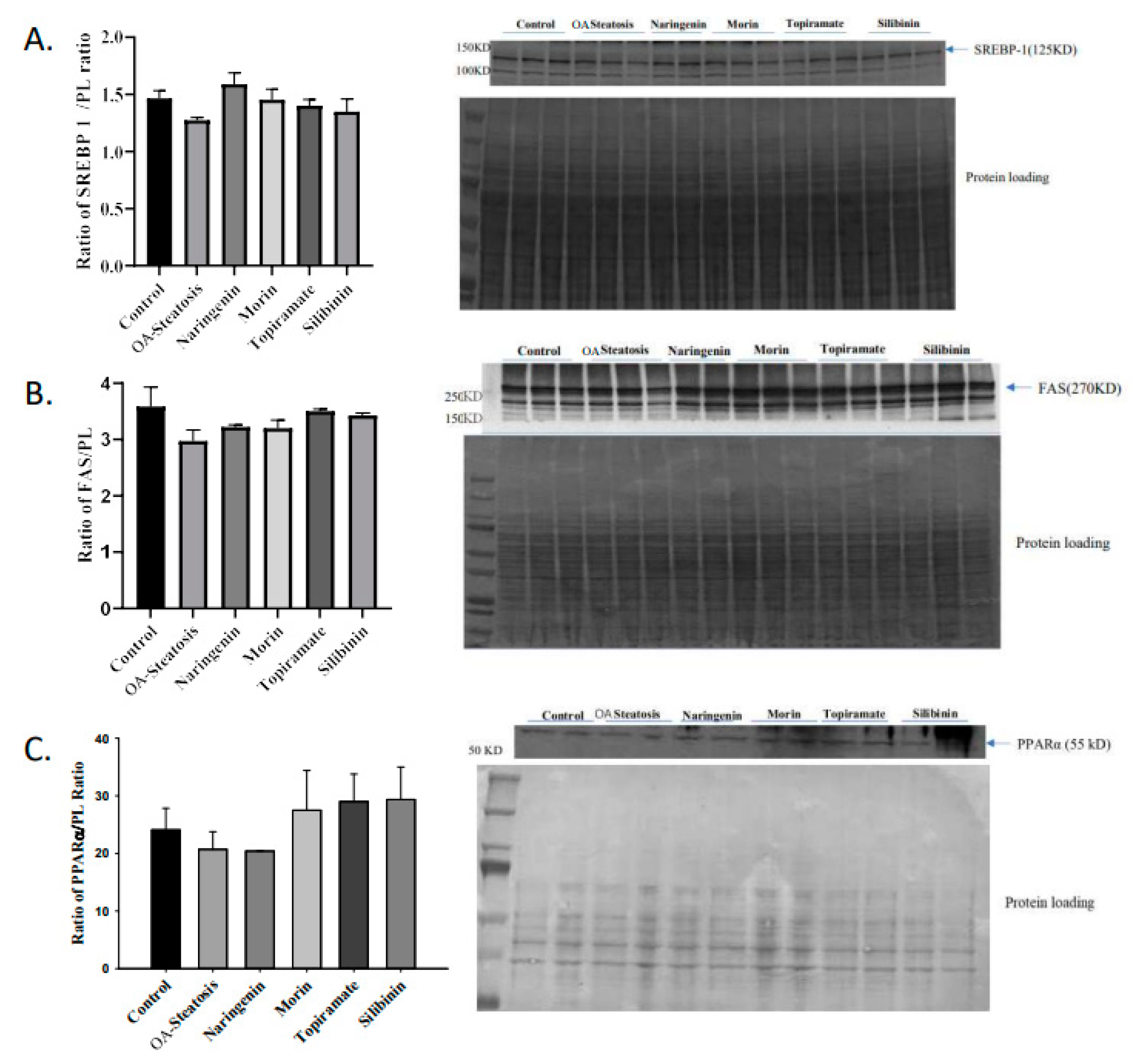 Nutrients 17 00564 g004