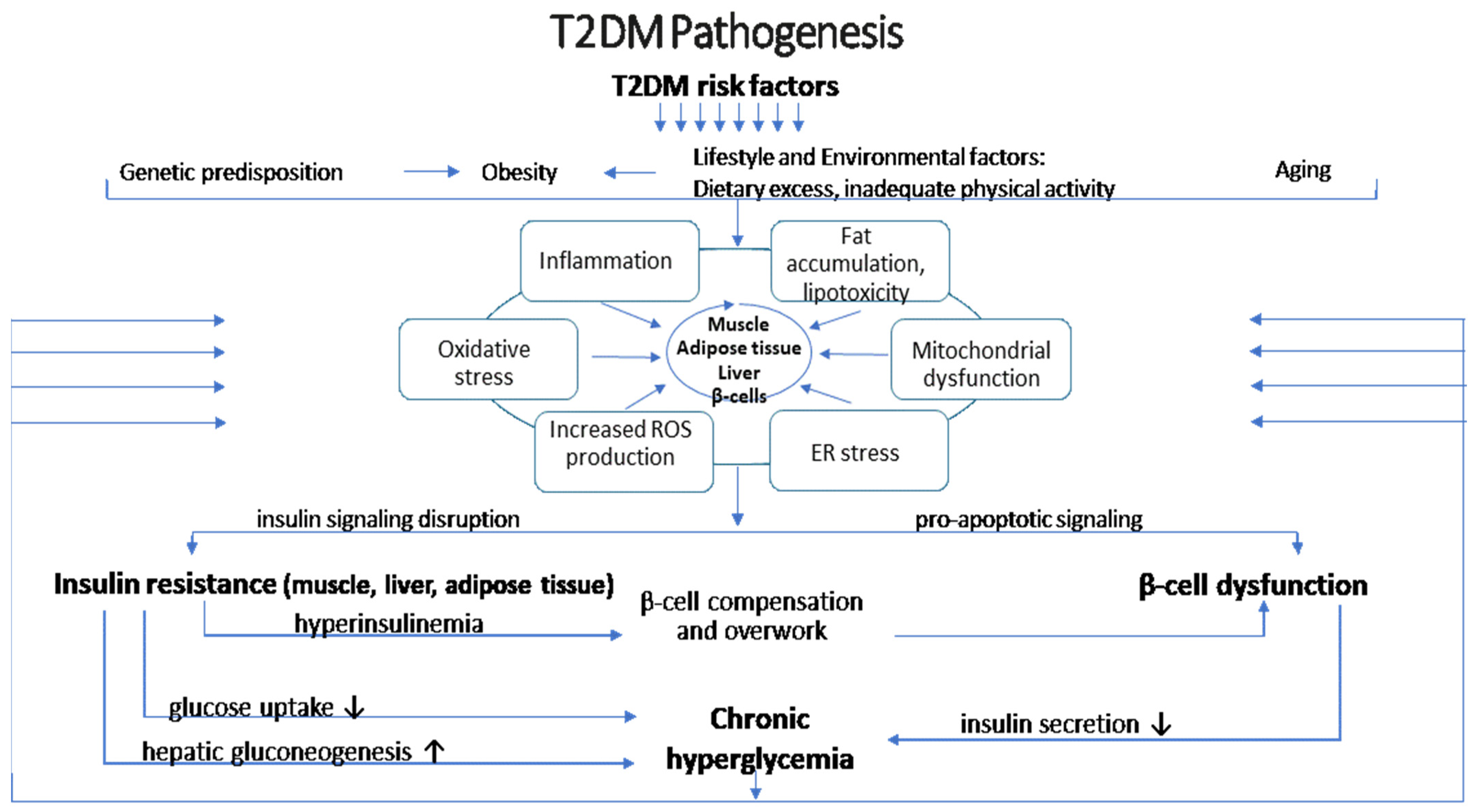 Nutrients 17 00570 g001 Nutrients 17 00570 g001