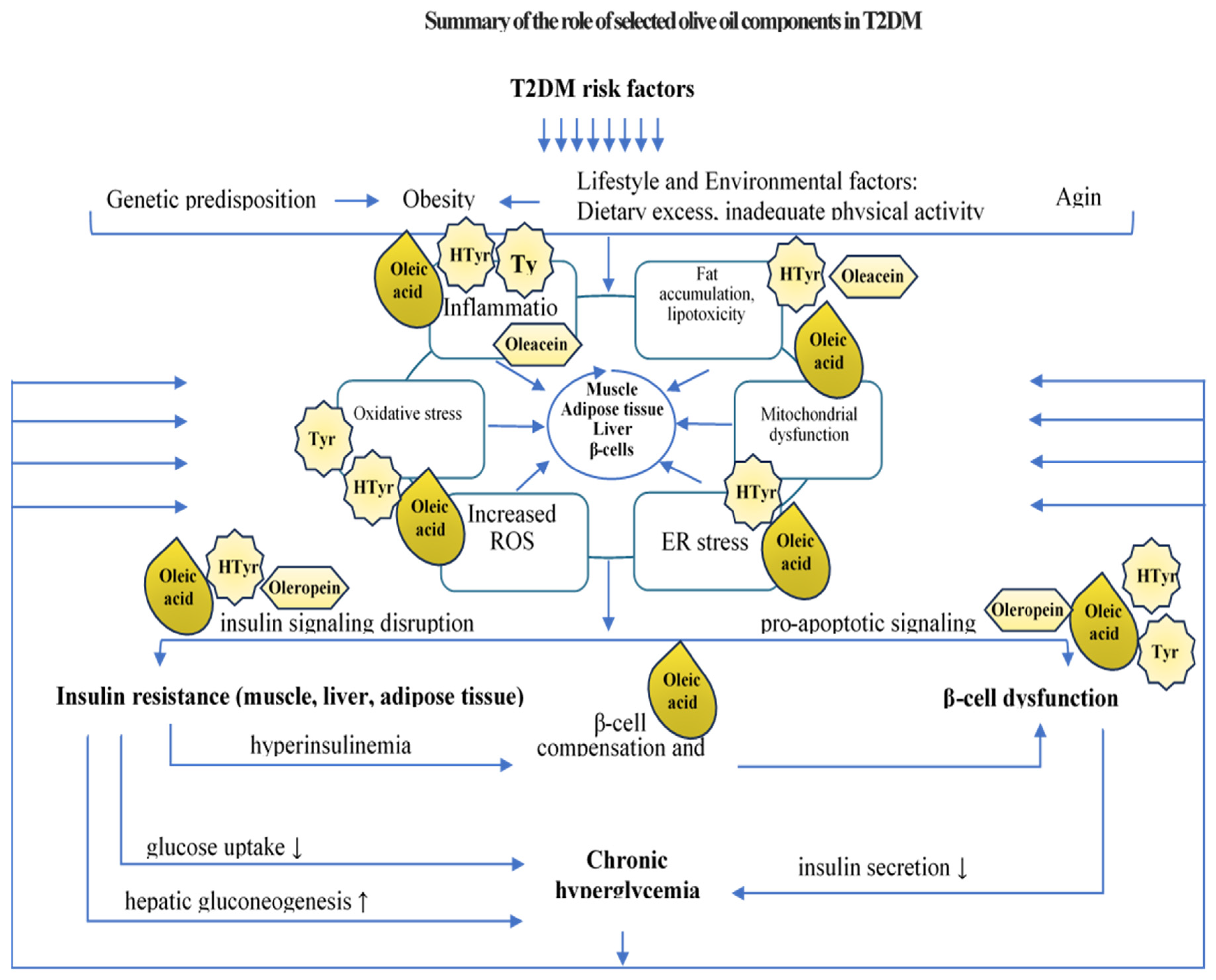 Nutrients 17 00570 g004 Nutrients 17 00570 g004