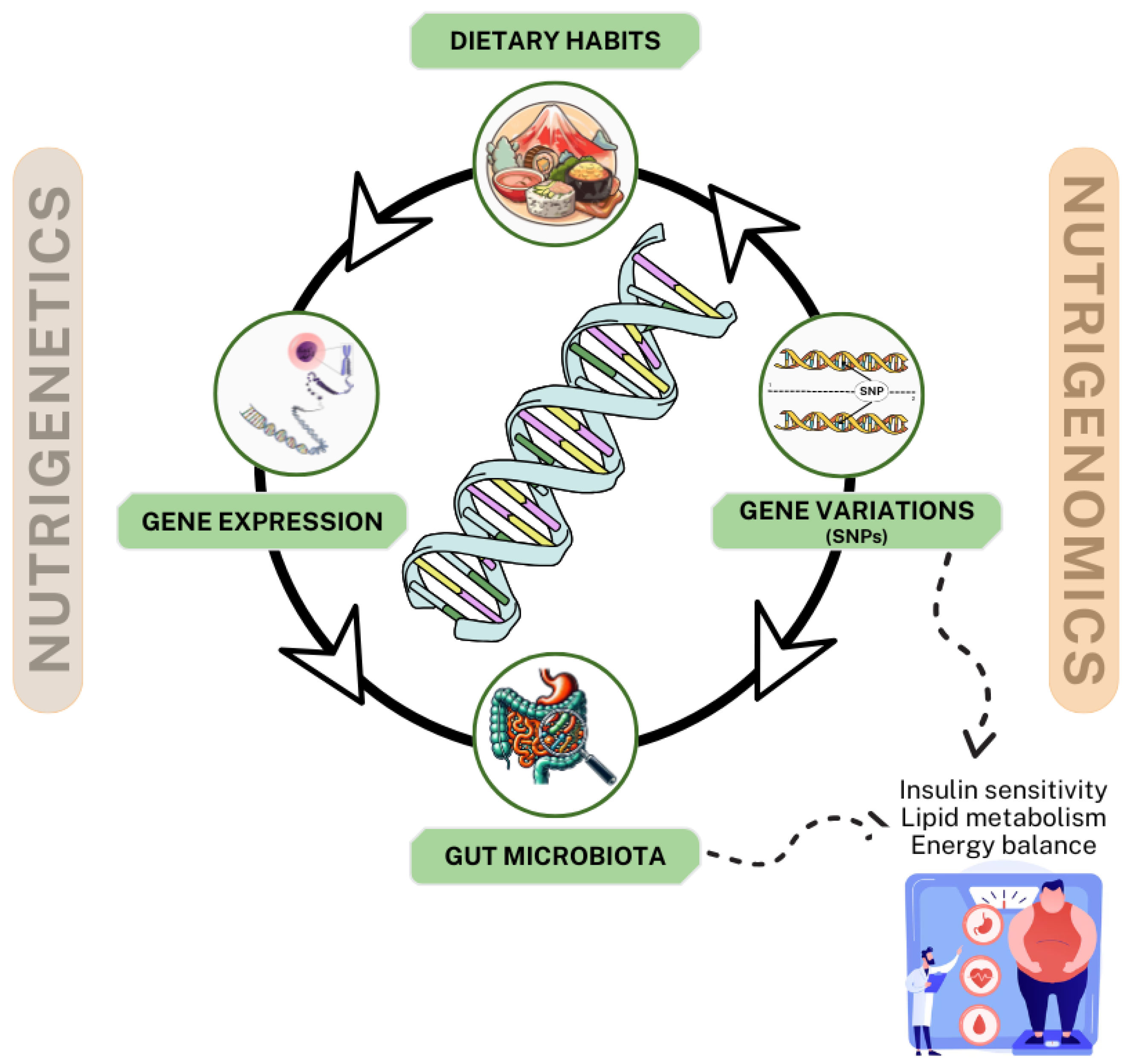 Nutrients 17 00608 g003