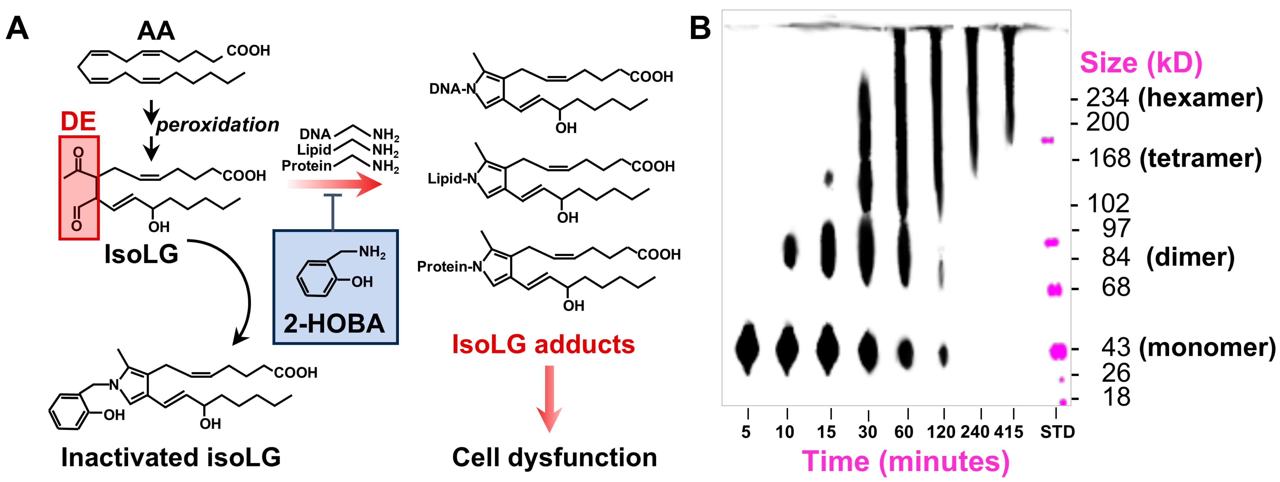 Nutrients 17 00610 g001